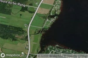 Riviere Moose