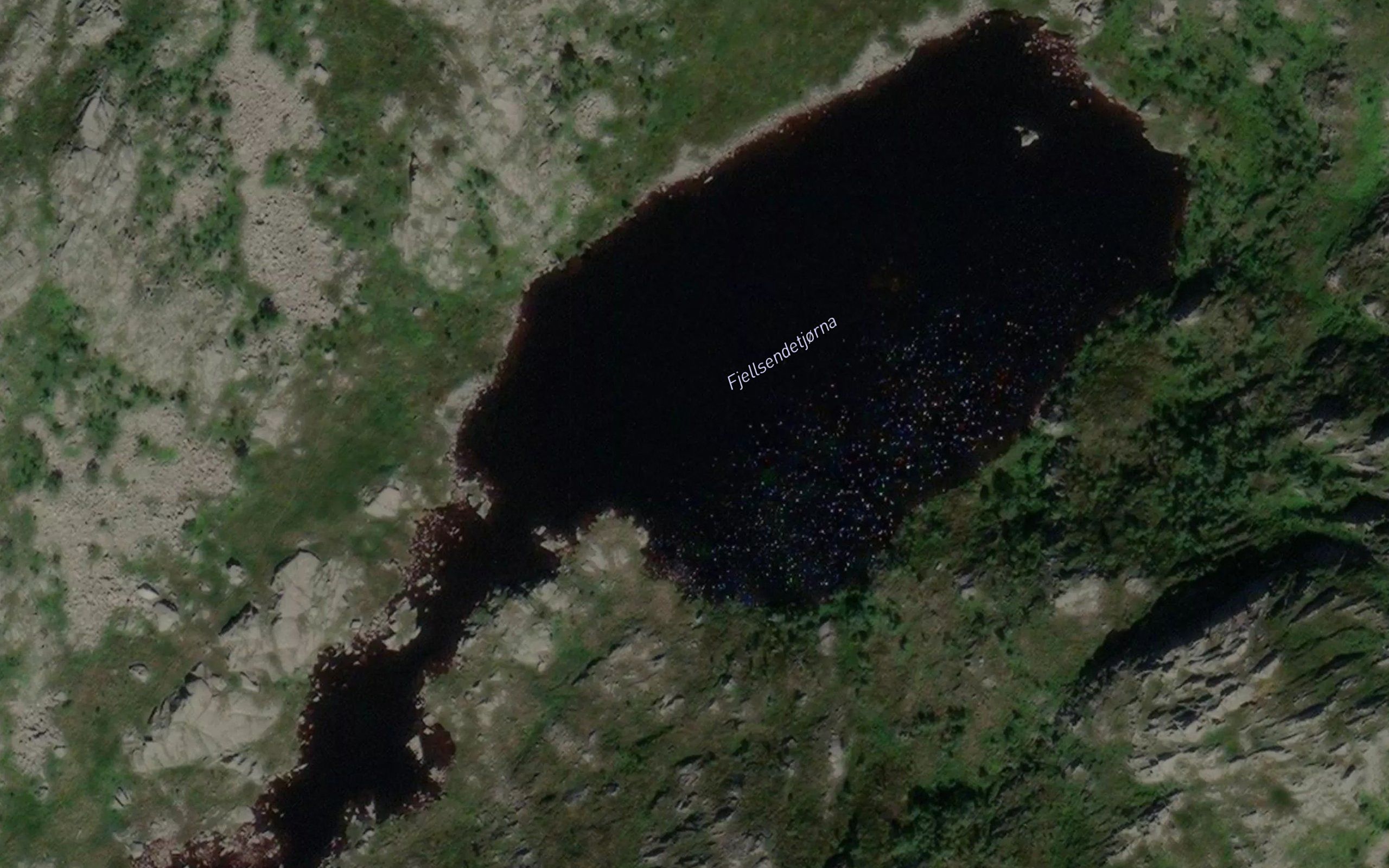 Fjellsendetjorna