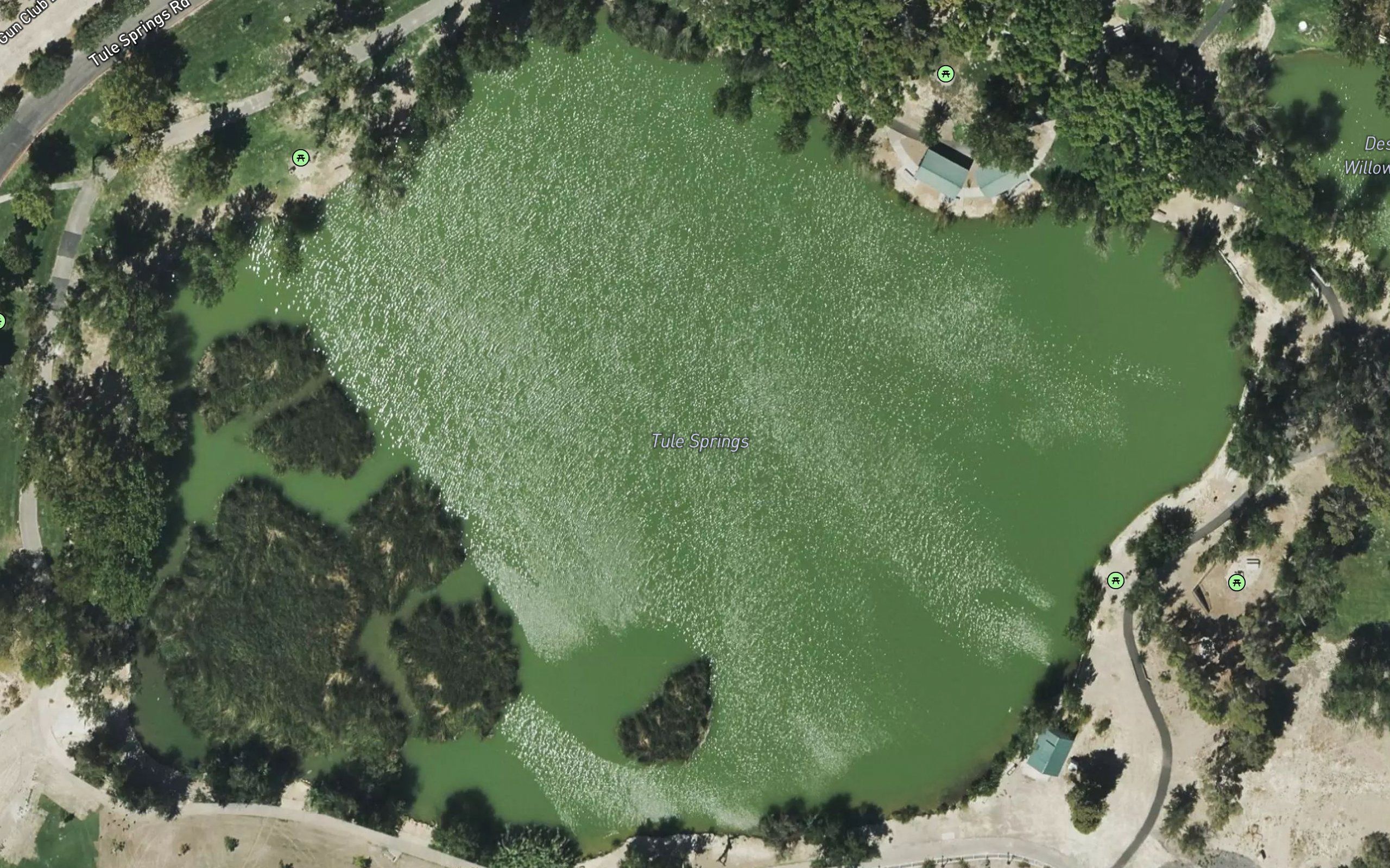 Tule Springs Lake