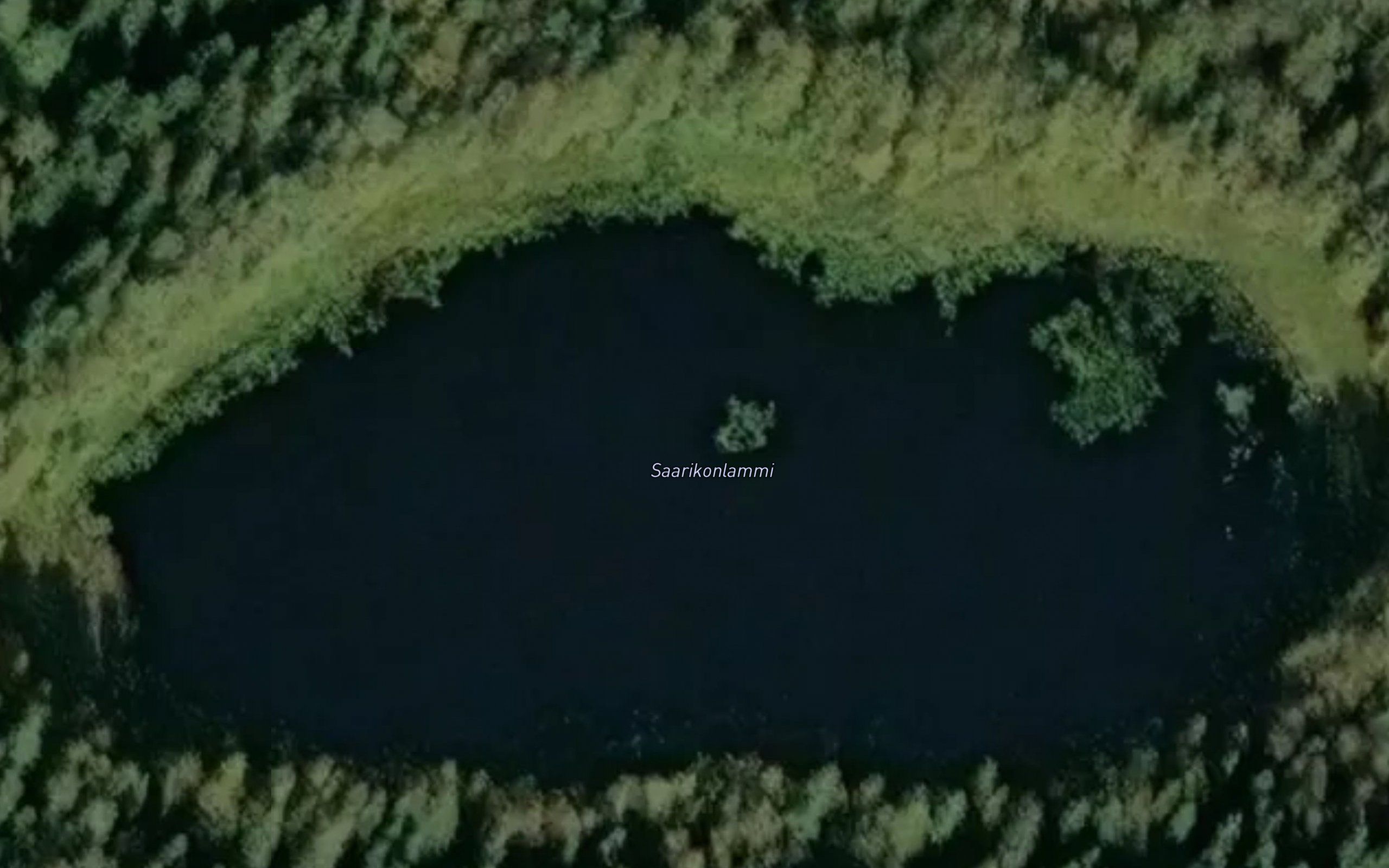 Saarikonlammi