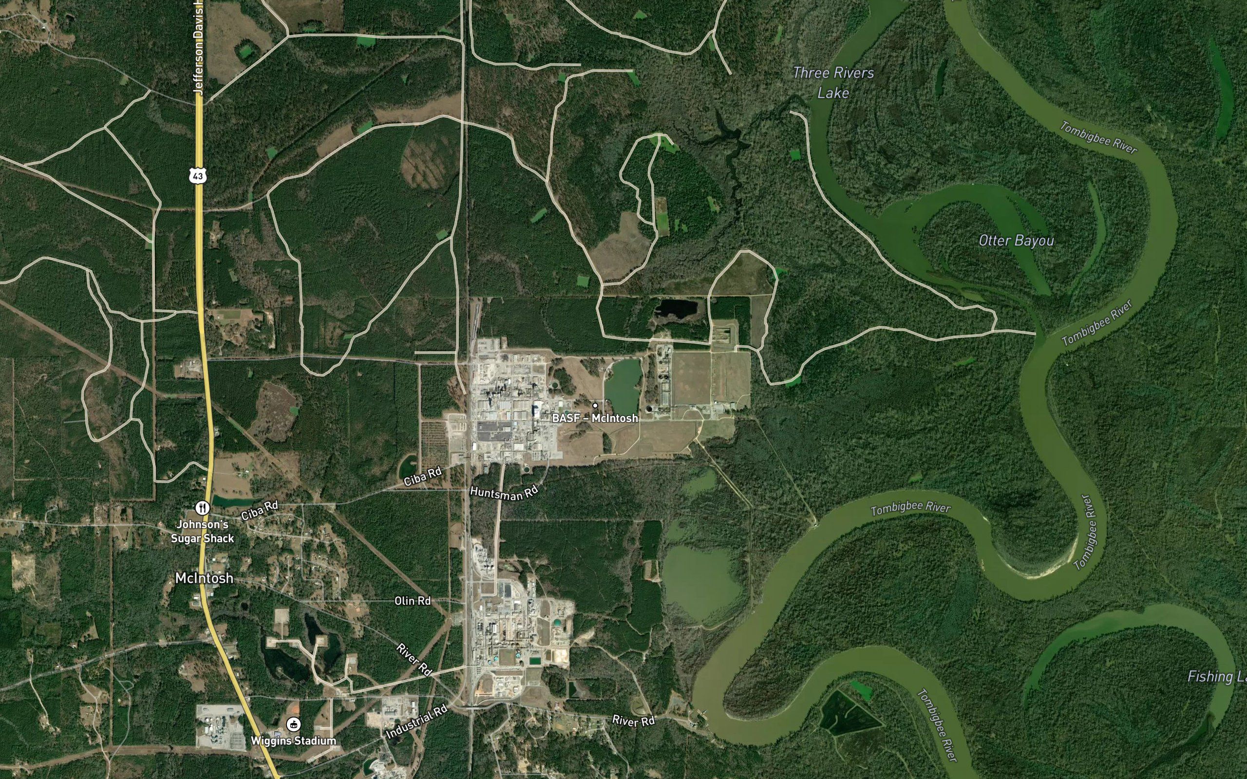 Ciba Geigy McIntosh Plant Pond 1