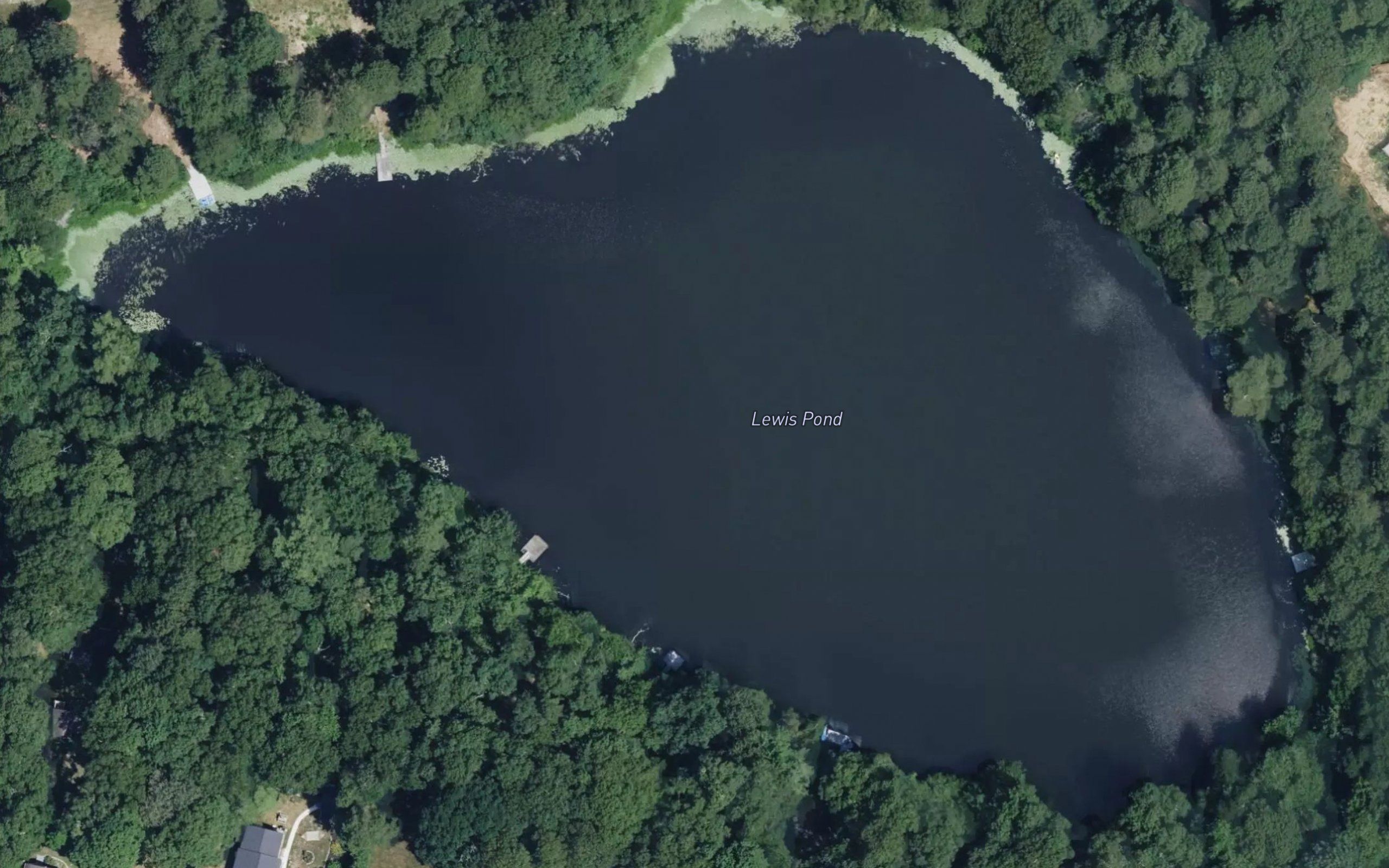 Lewis Pond