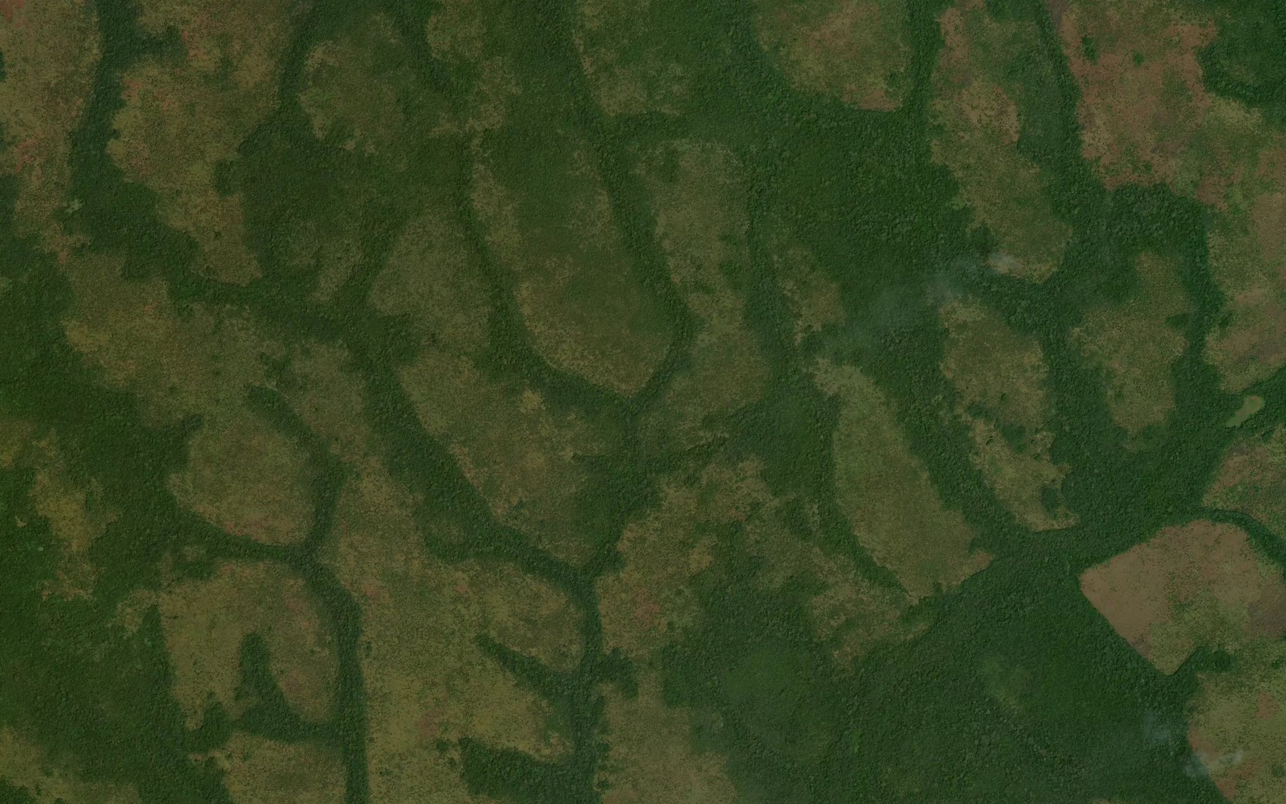 Satellite map of the Dango