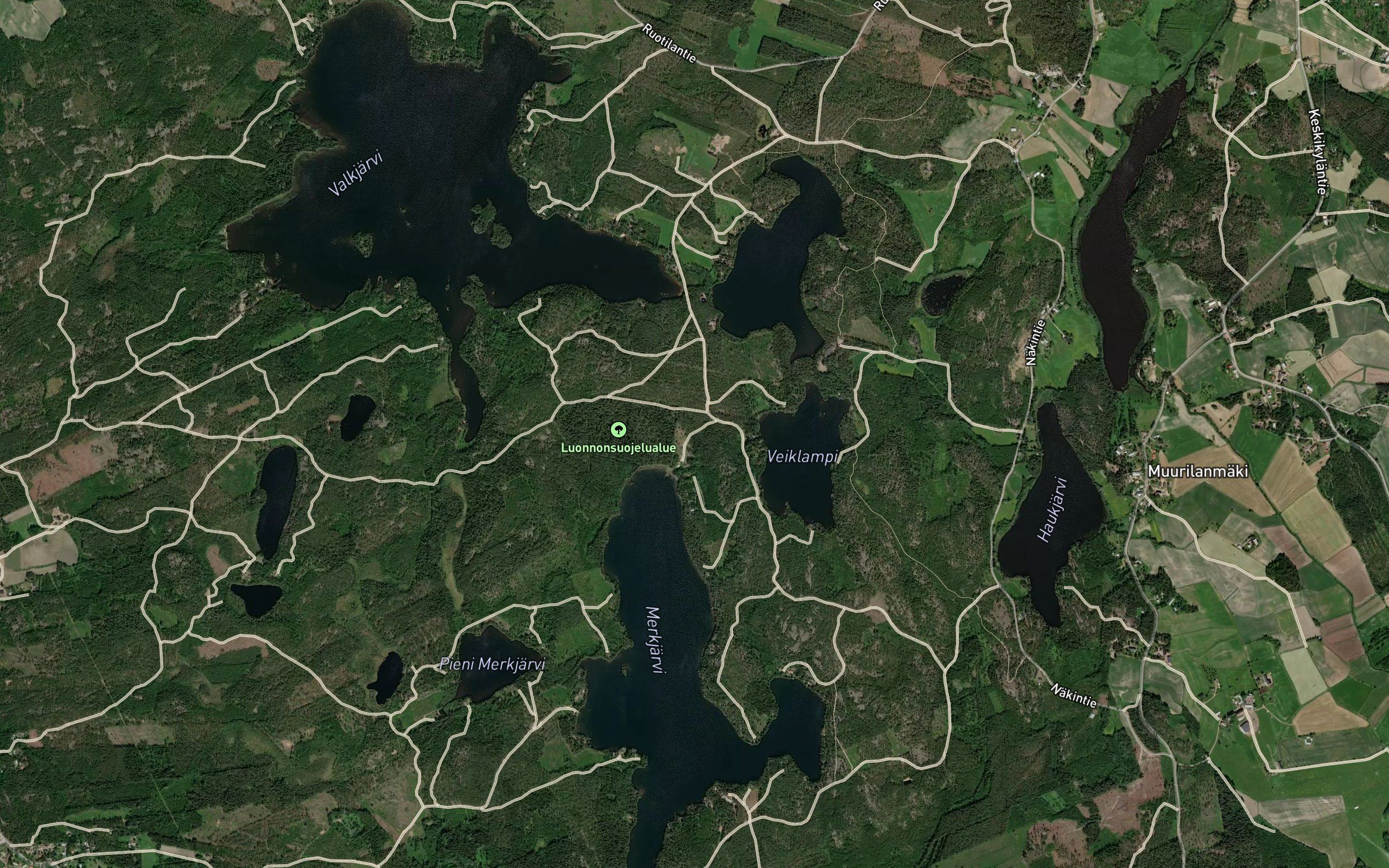 Merkjarvet