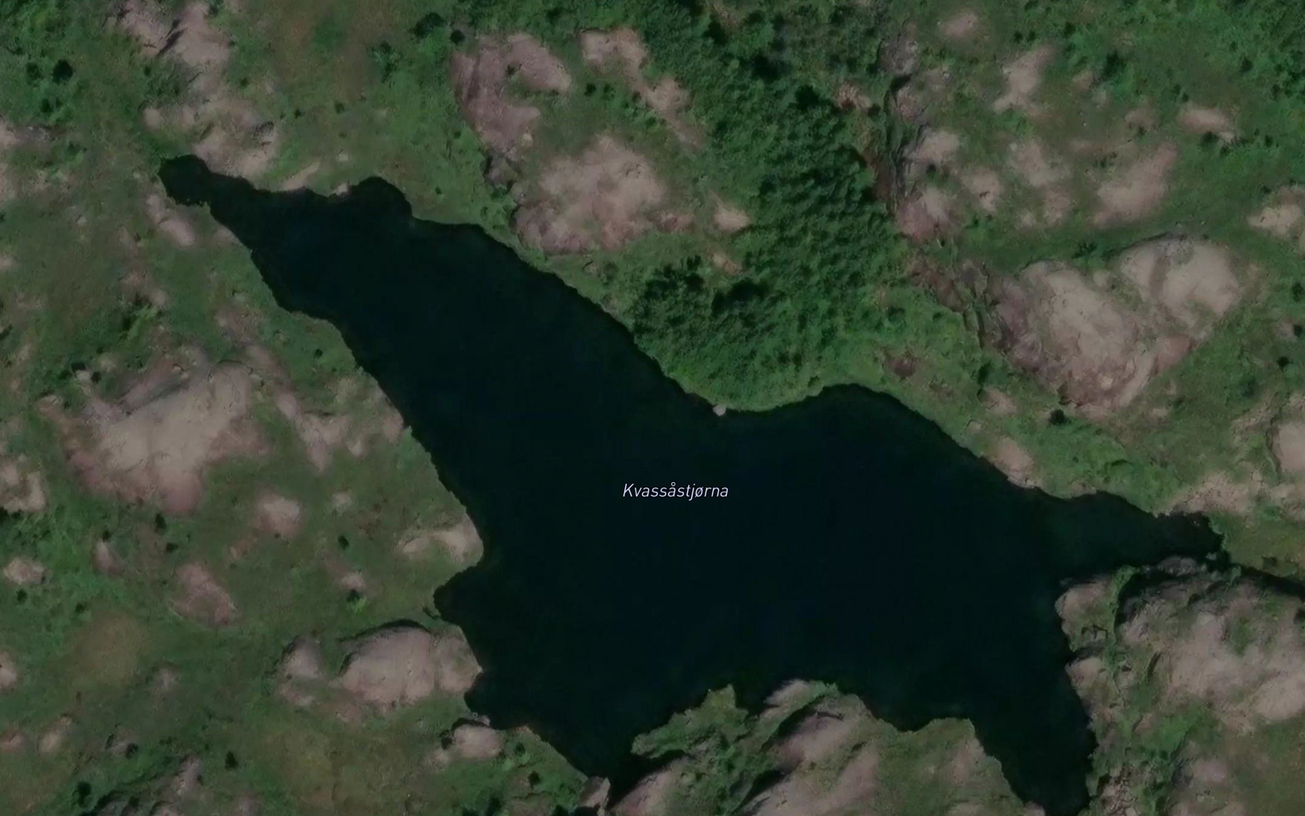 Kvassastjorna