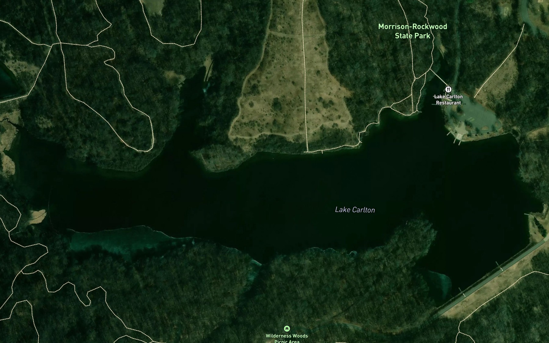 Satellite map of the Lake Carlton