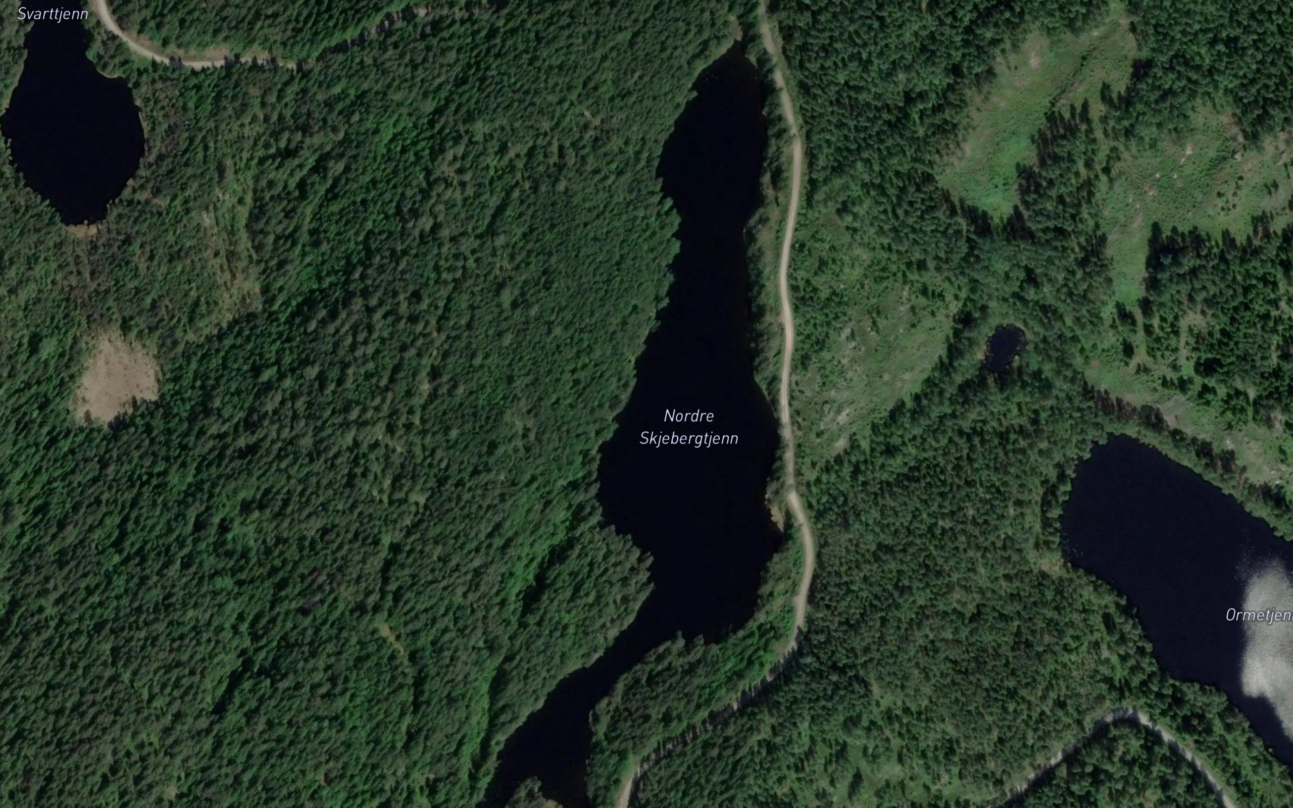 Skjebergtjerna