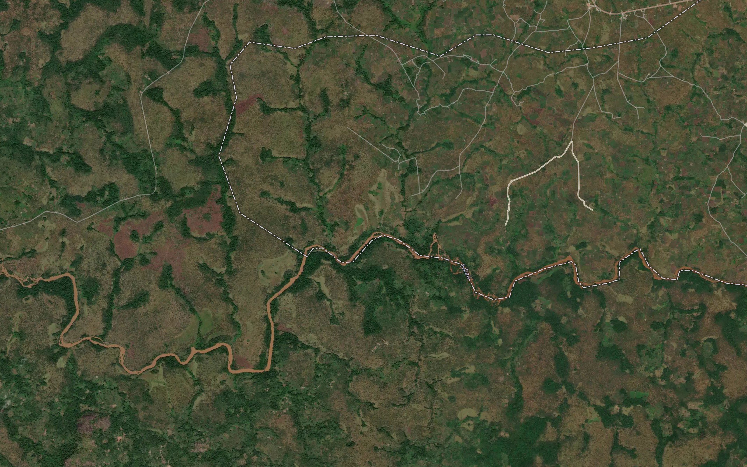 Matazo