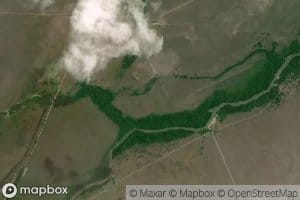 Cano de Mata Becerro