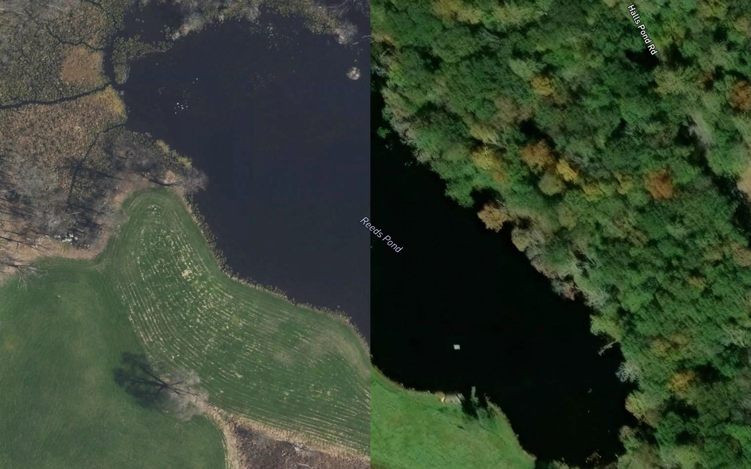 Reeds Pond