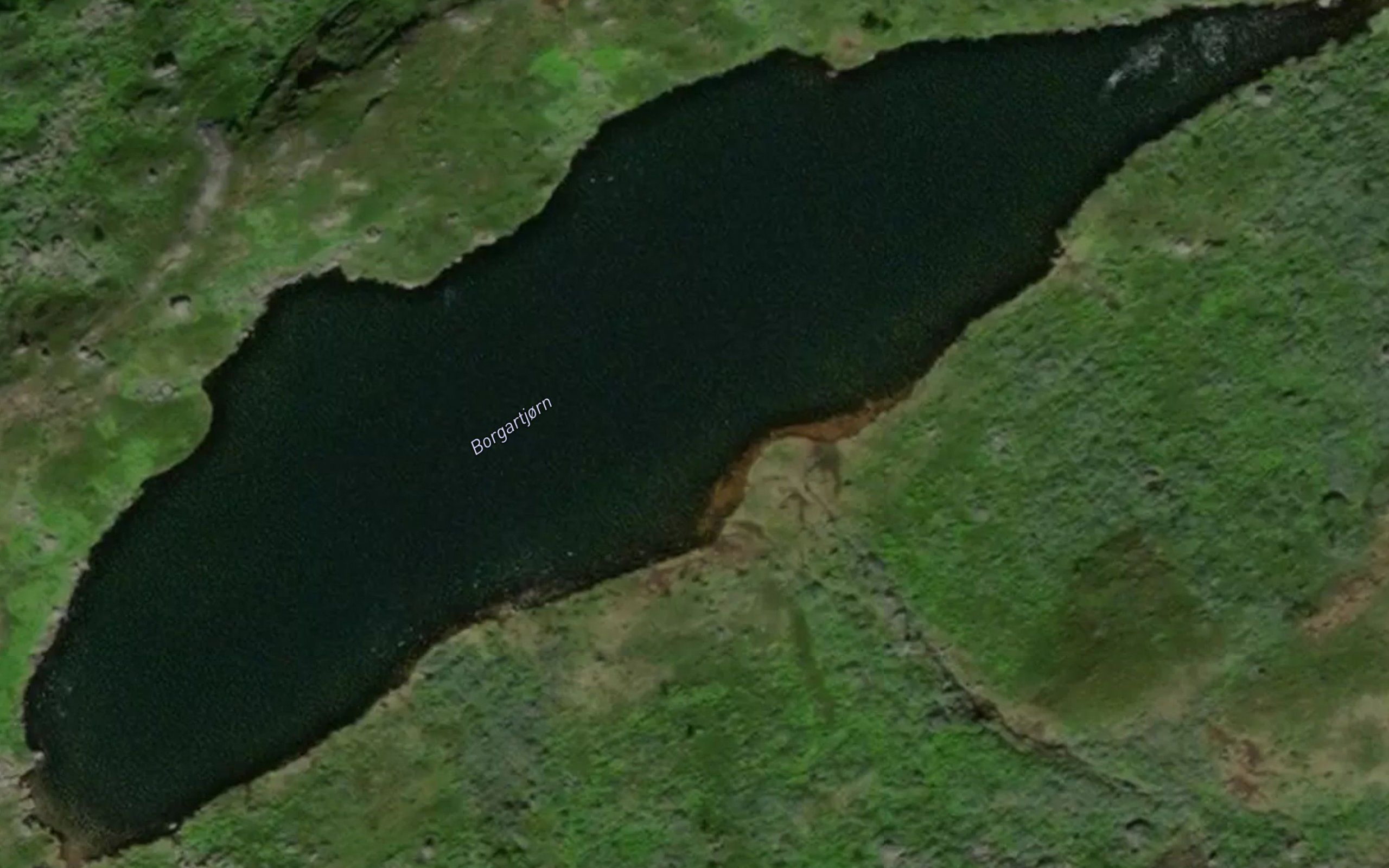 Borgartjorn