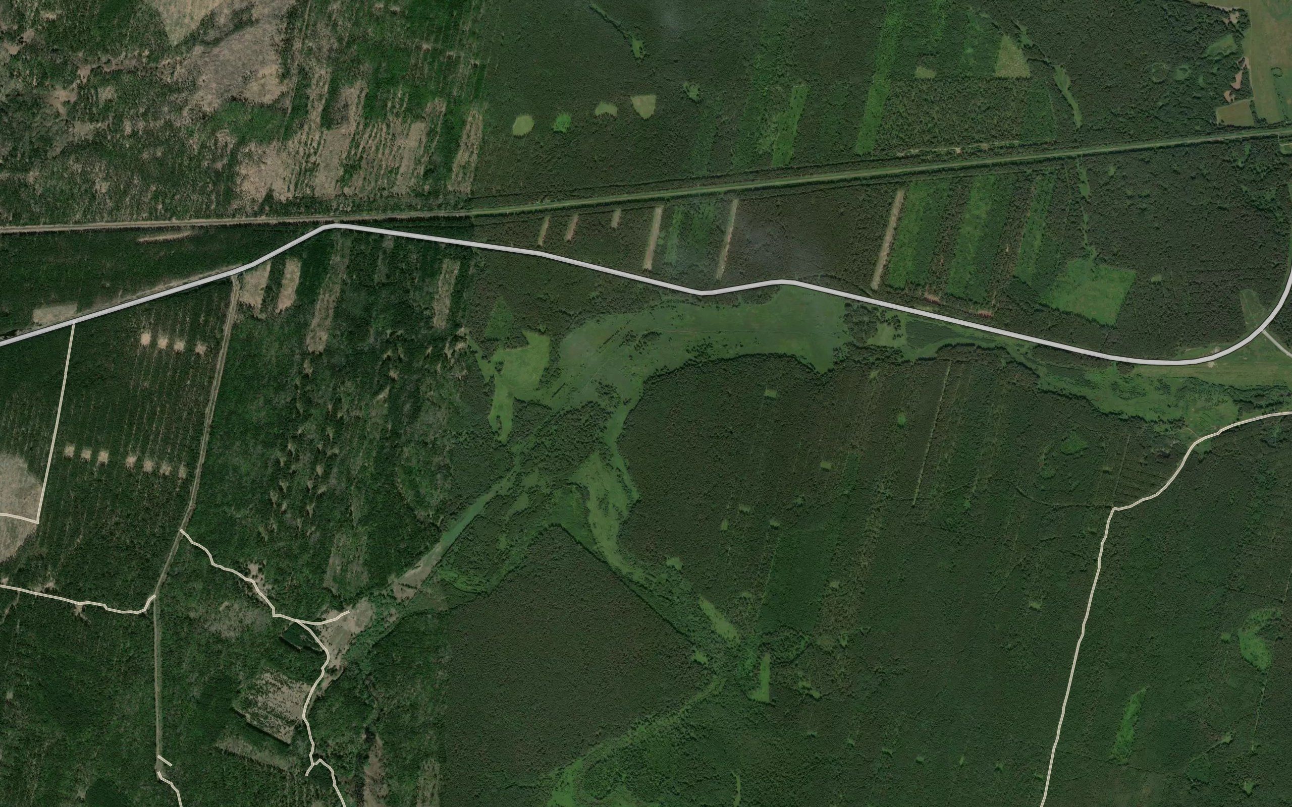 Gryaznushka