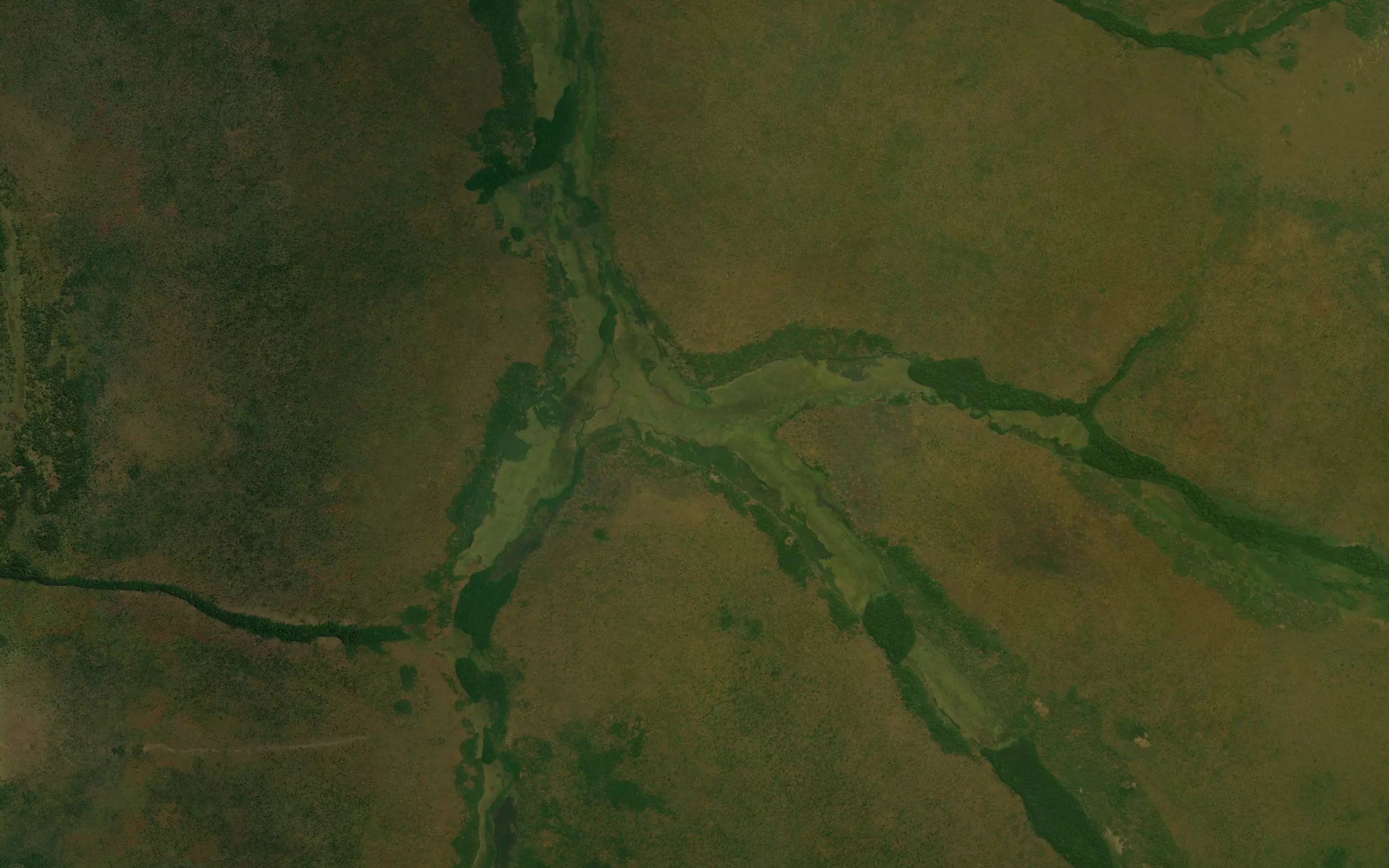 Mwadi-Yayamba