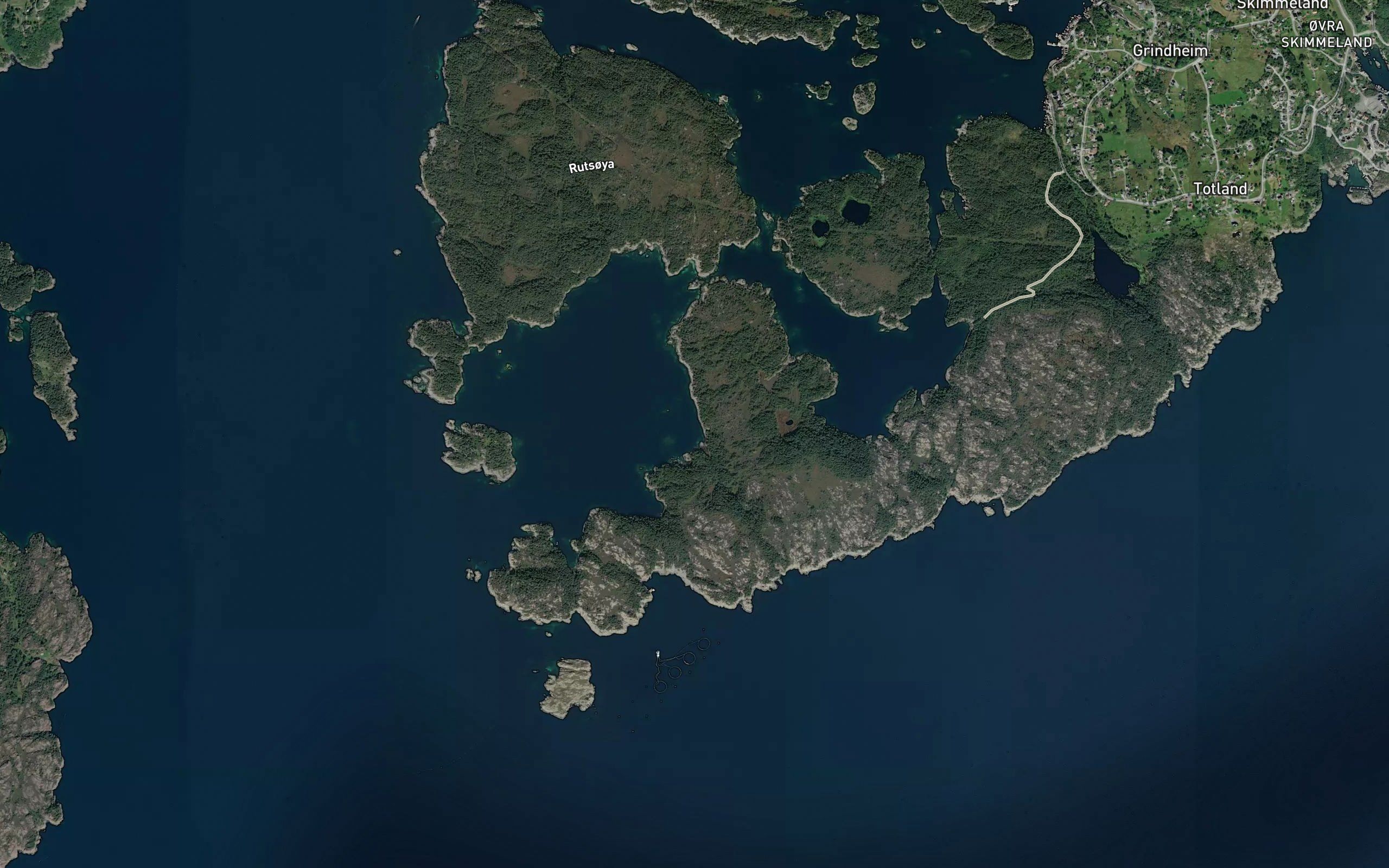 Saetravika