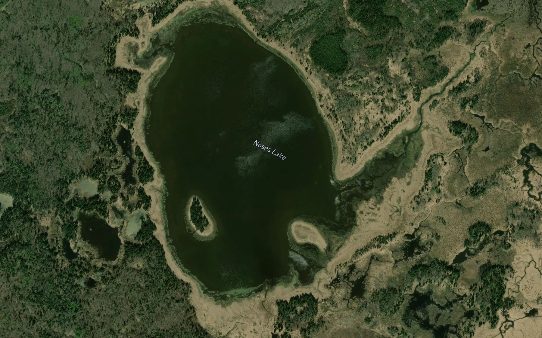 Satellite map of the Noses Lake