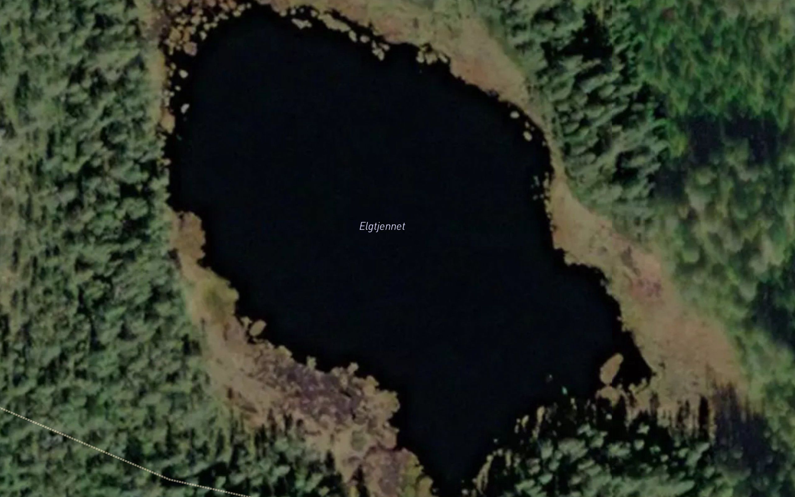 Elgtjennet