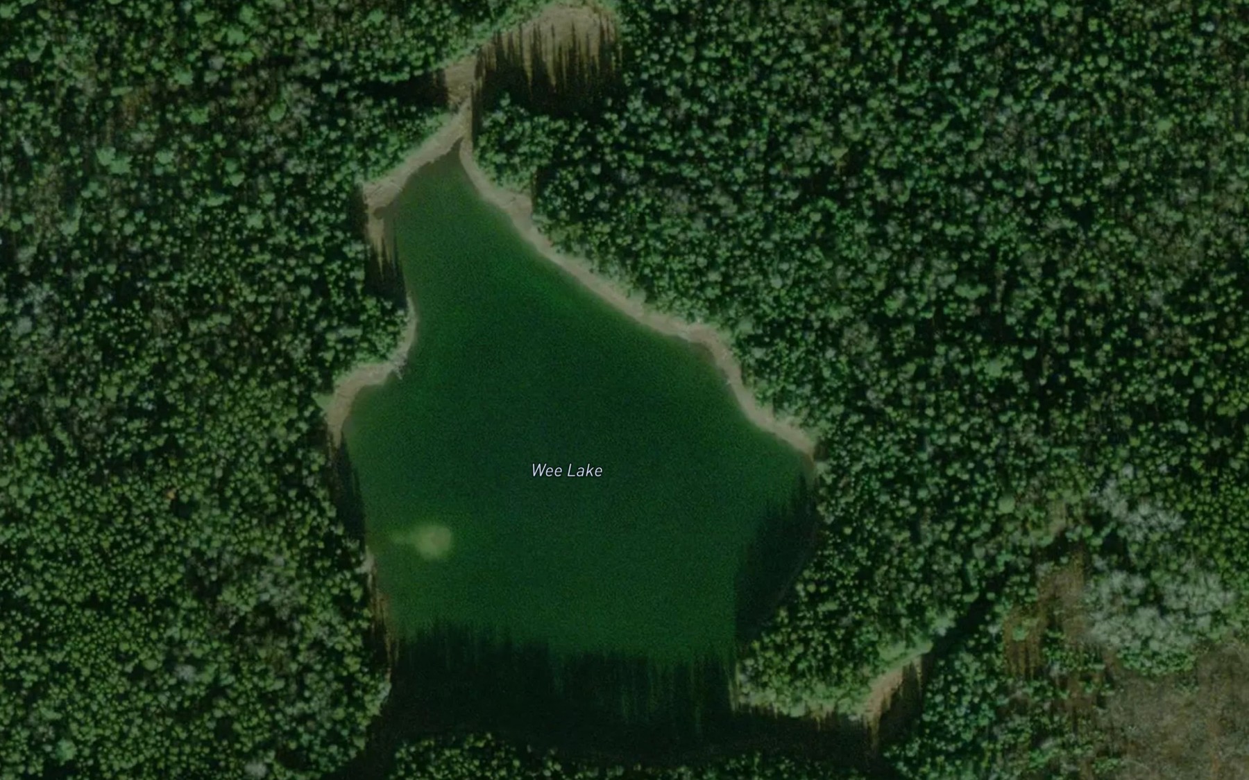 Satellite map of the Wee Lake