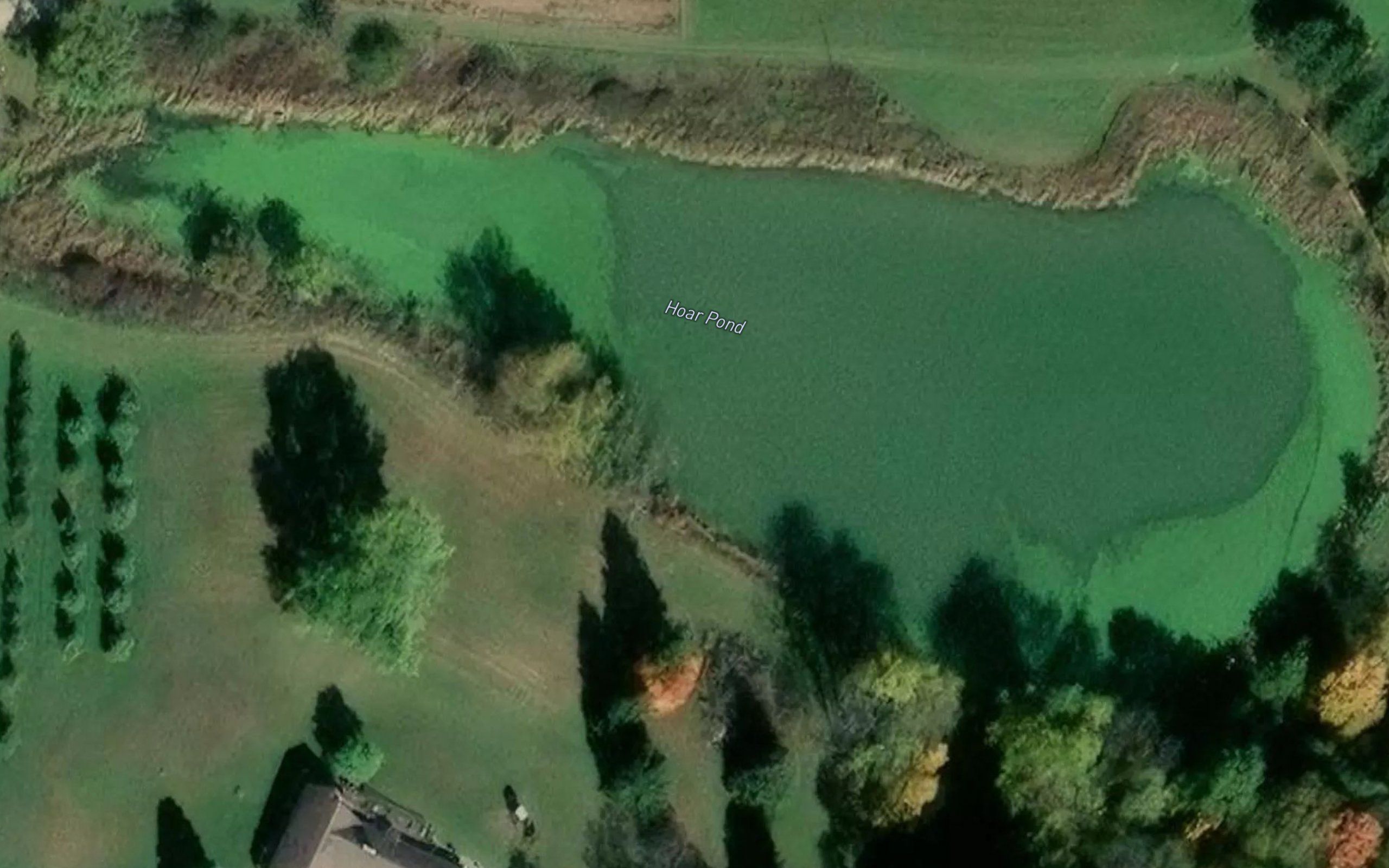 Hoar Pond