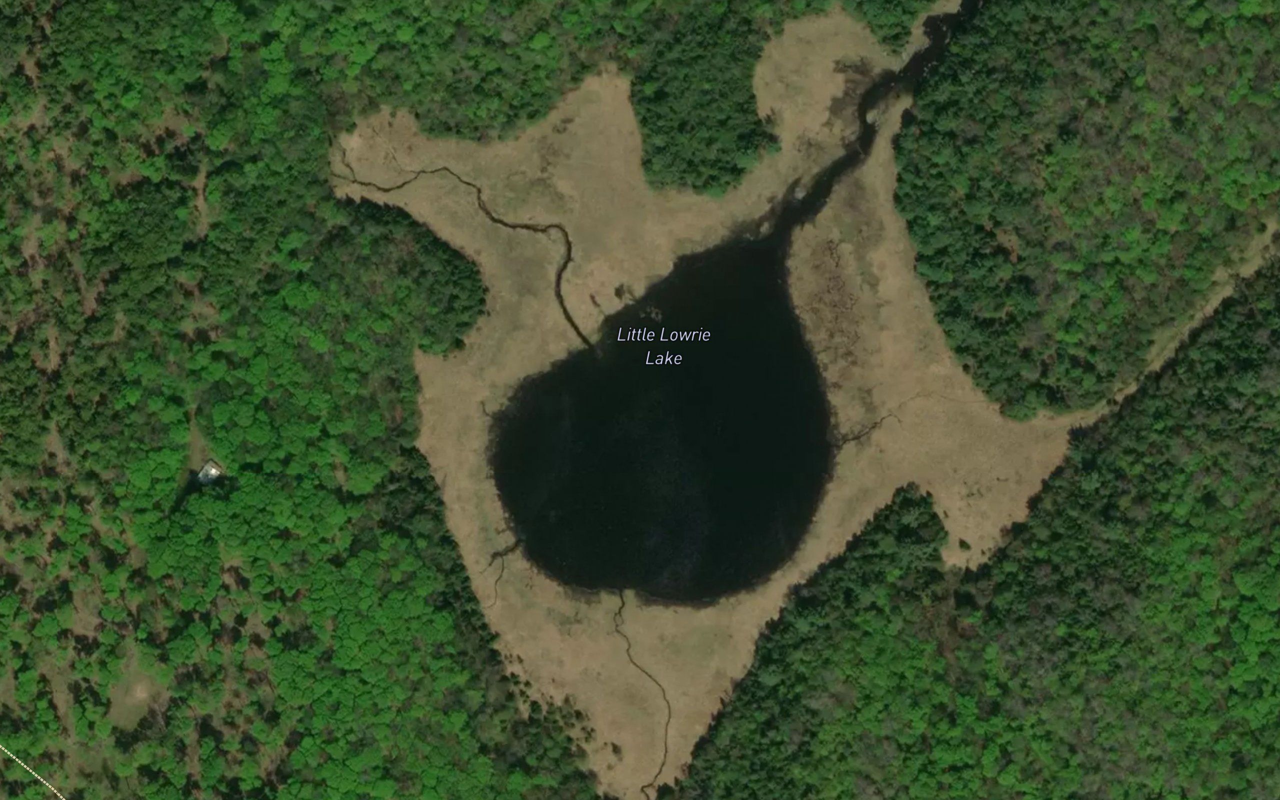 Little Lowrie Lake