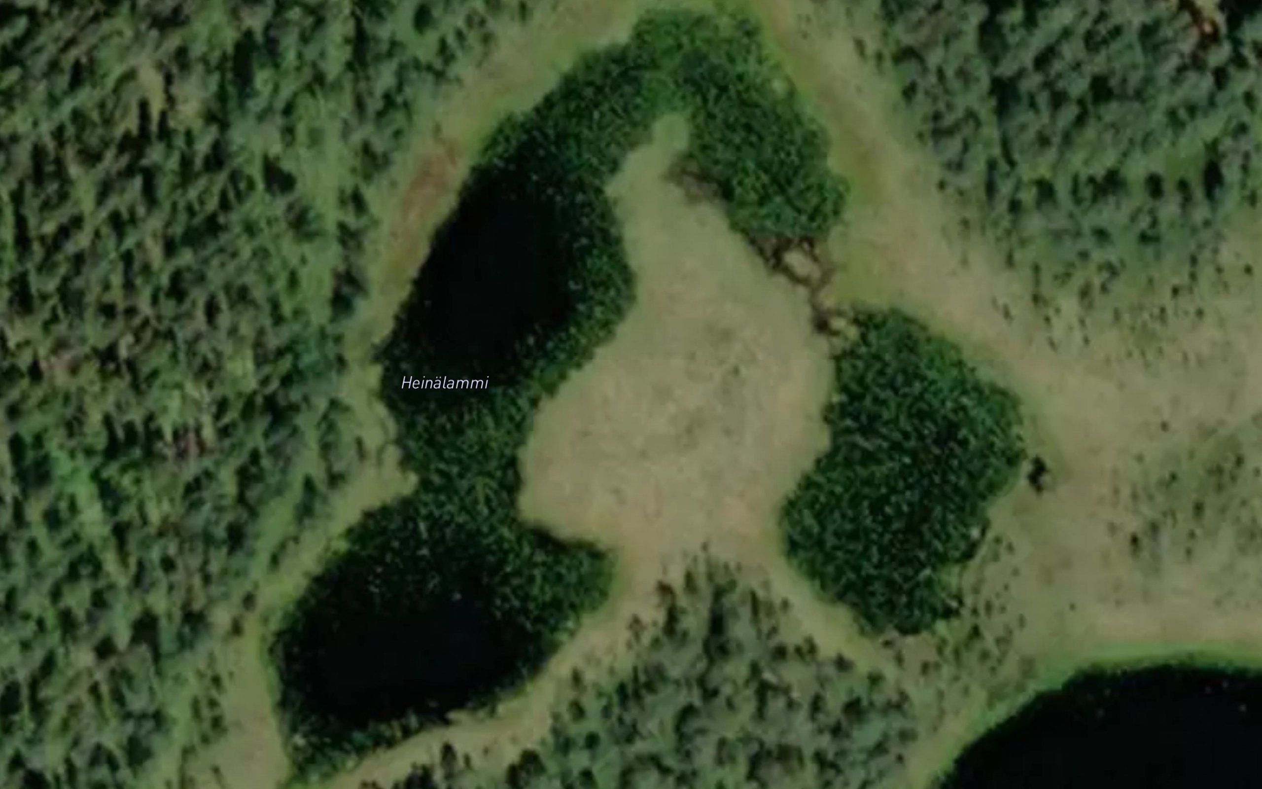 Heinalammi