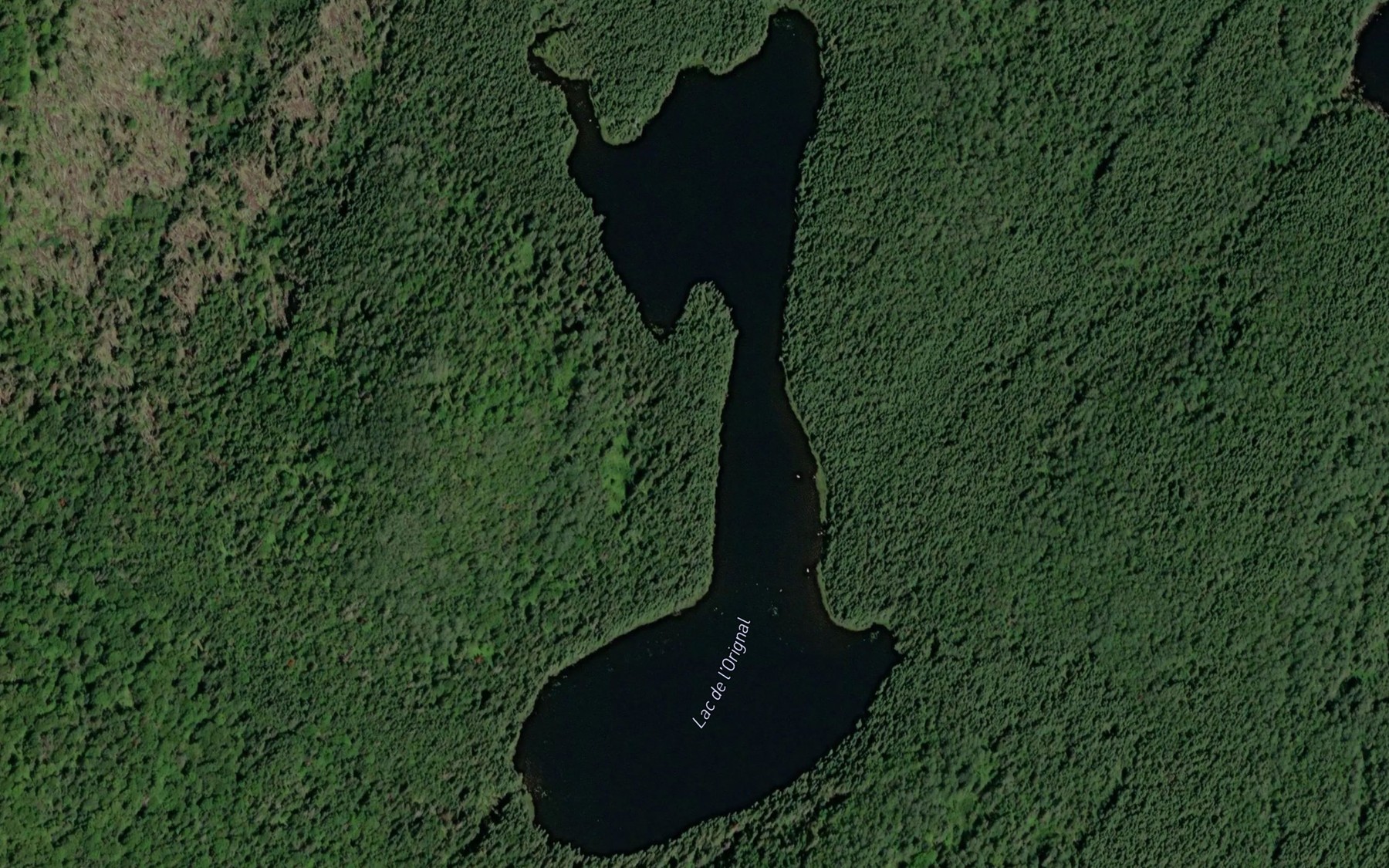 Satellite map of the Lac de l'Orignal