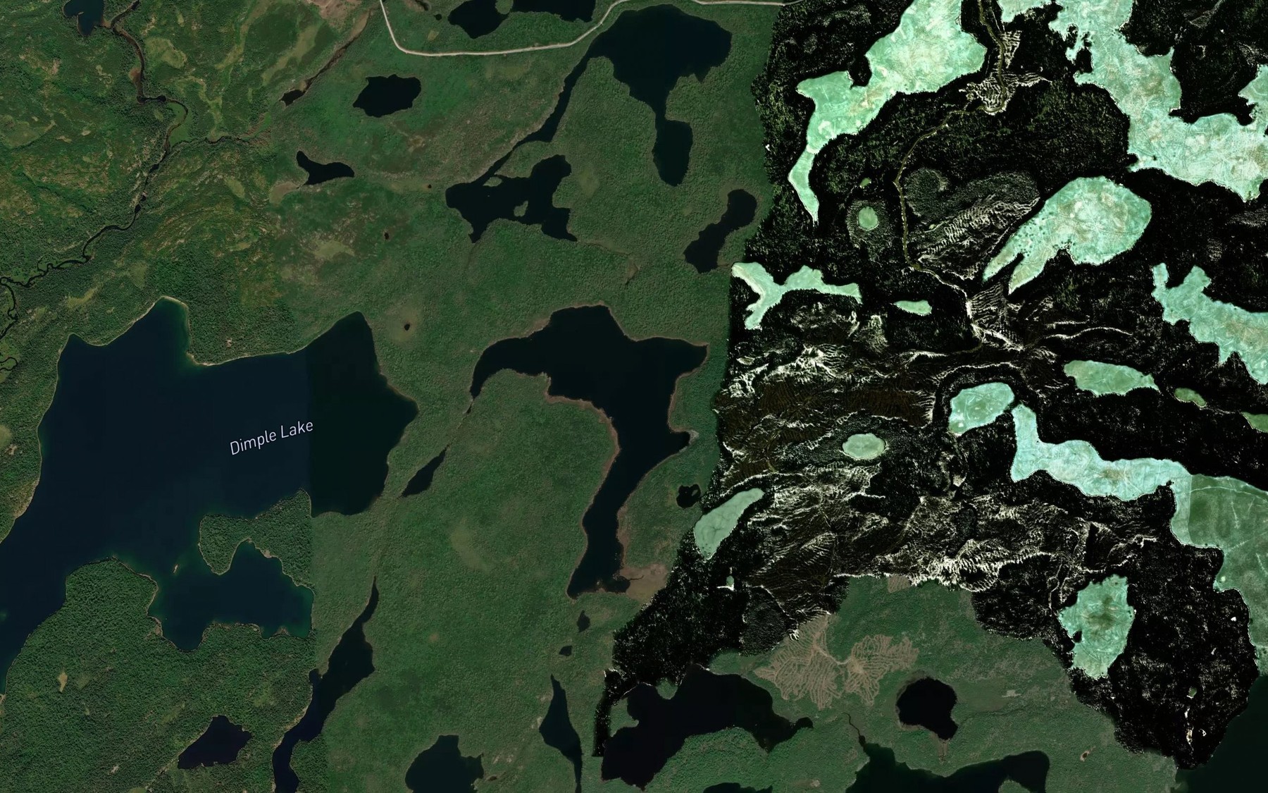 Satellite map of the Patricia Lake