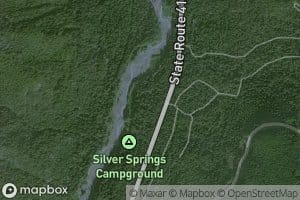 Silver Springs