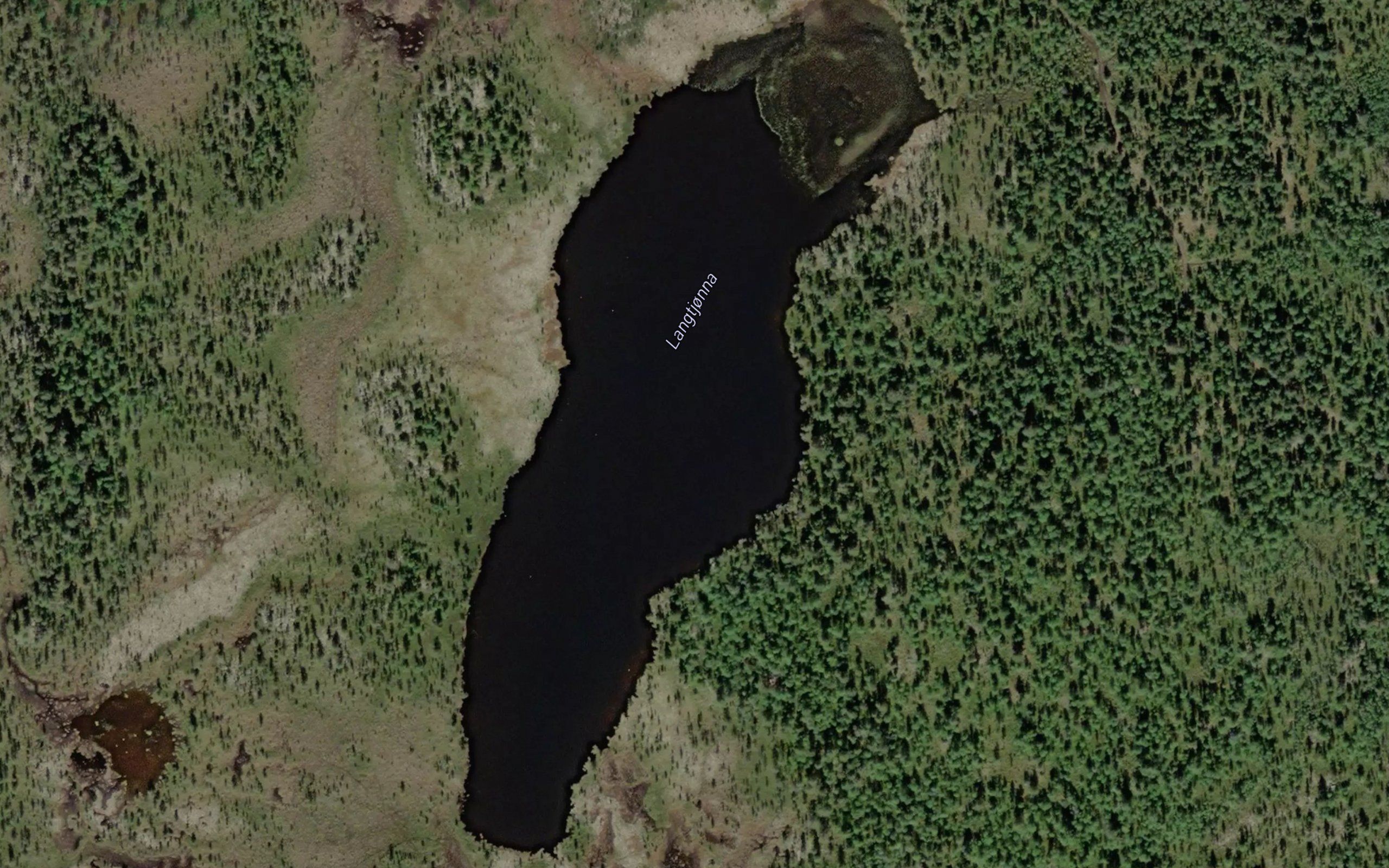 Langtjorna