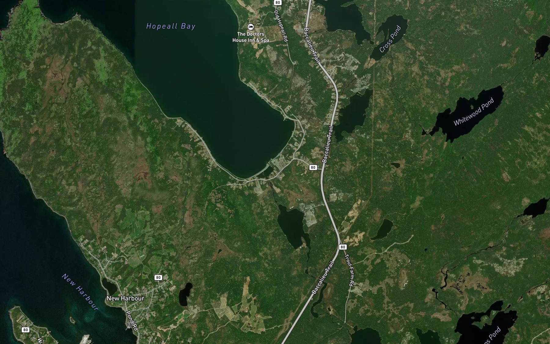 Satellite map of the Saltwater Pond