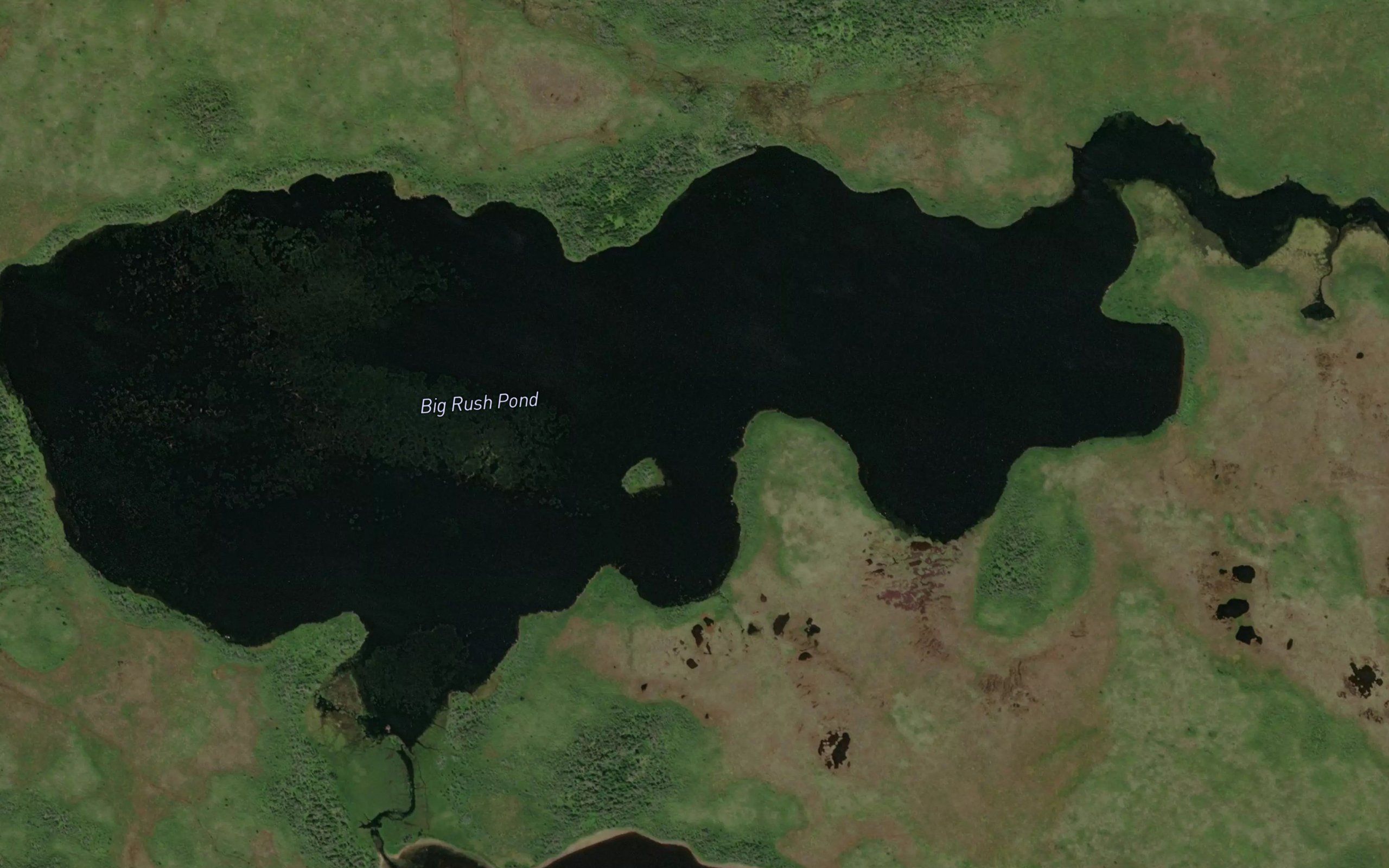 Big Rush Pond