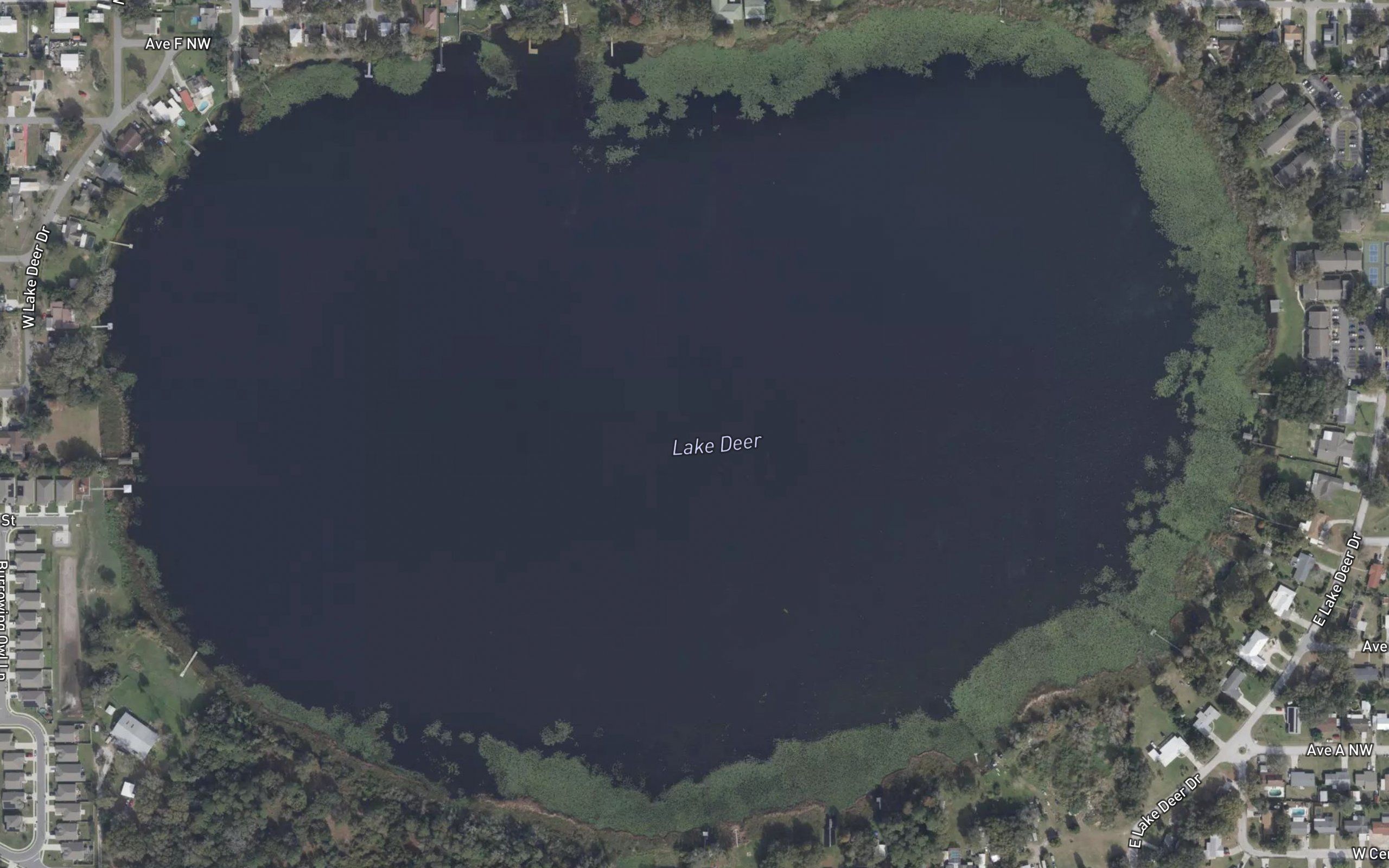 Lake Deer