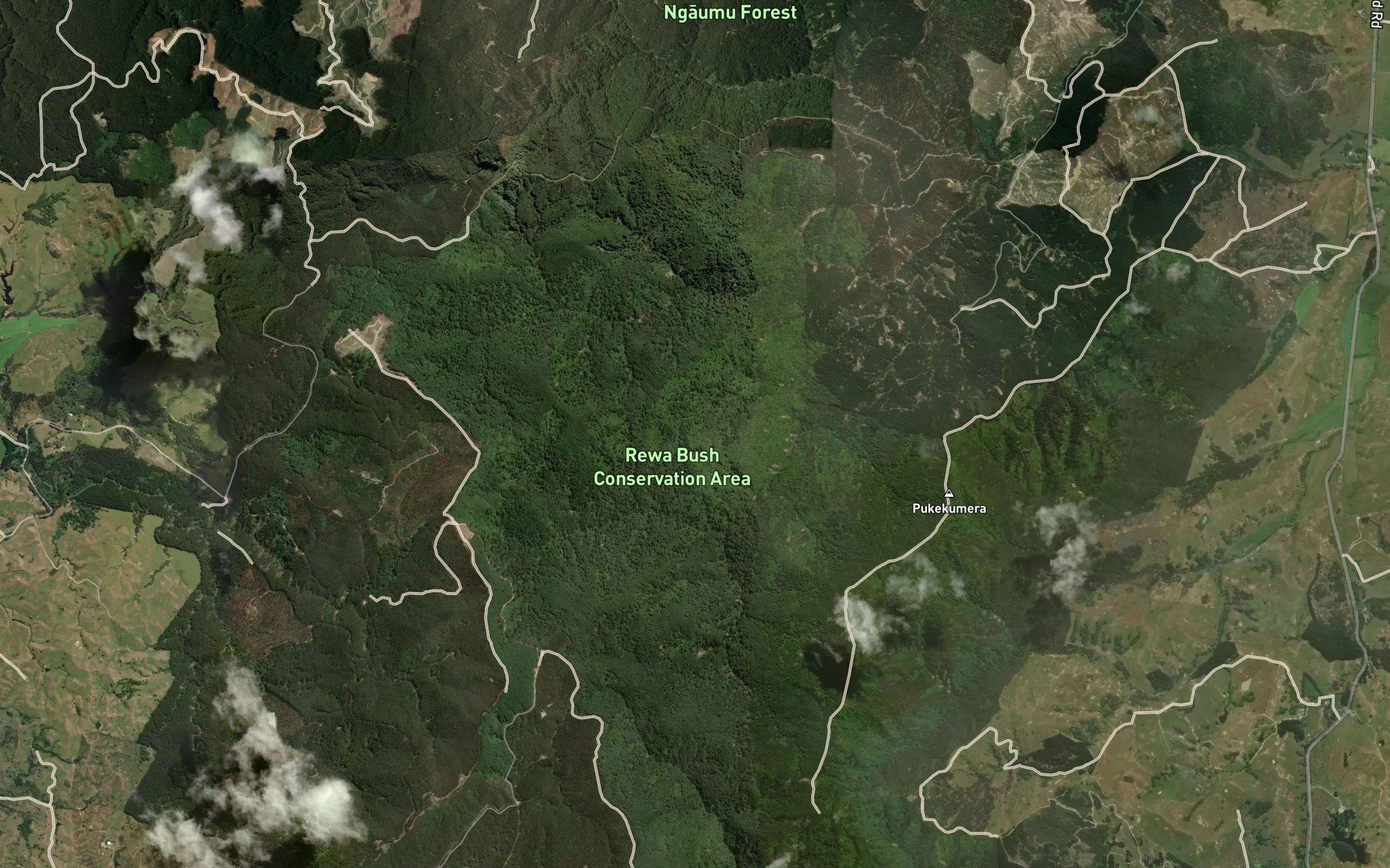 Waihora Stream