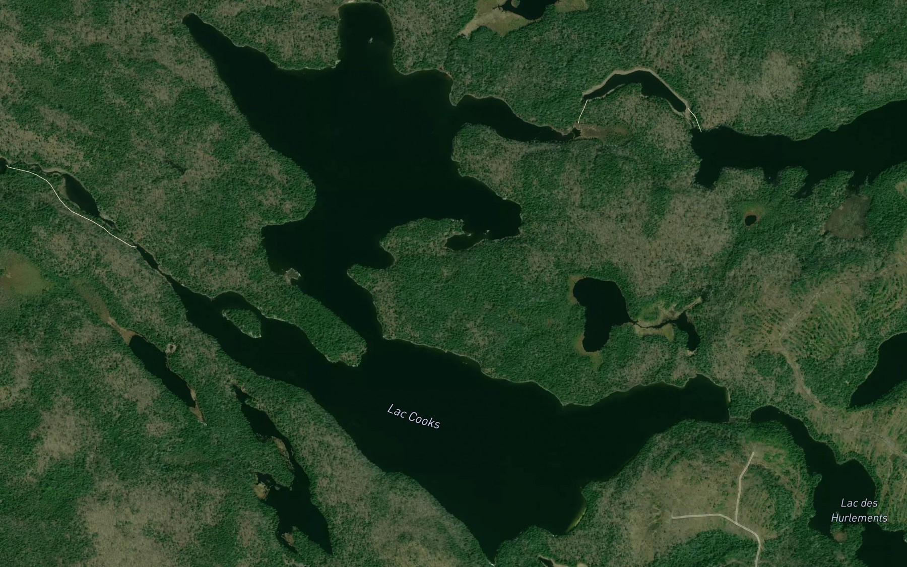 Satellite map of the Lac Cooks