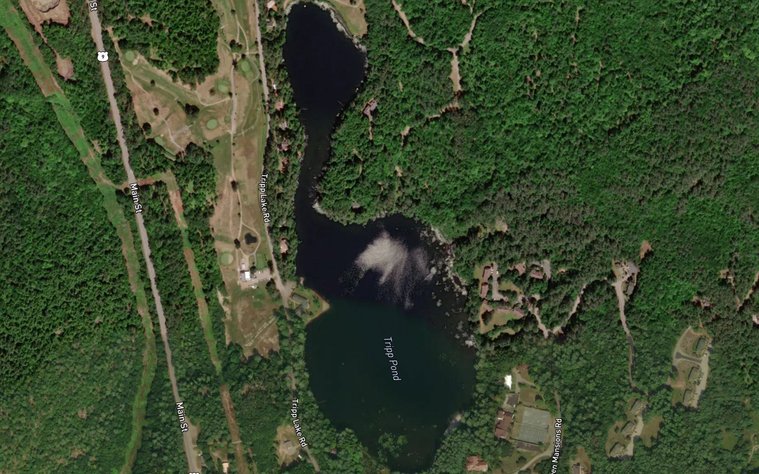 Tripp Pond