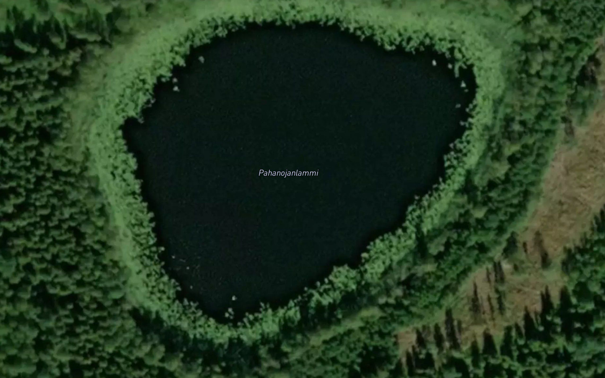 Pahanojanlammi