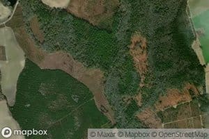 Cow Branch