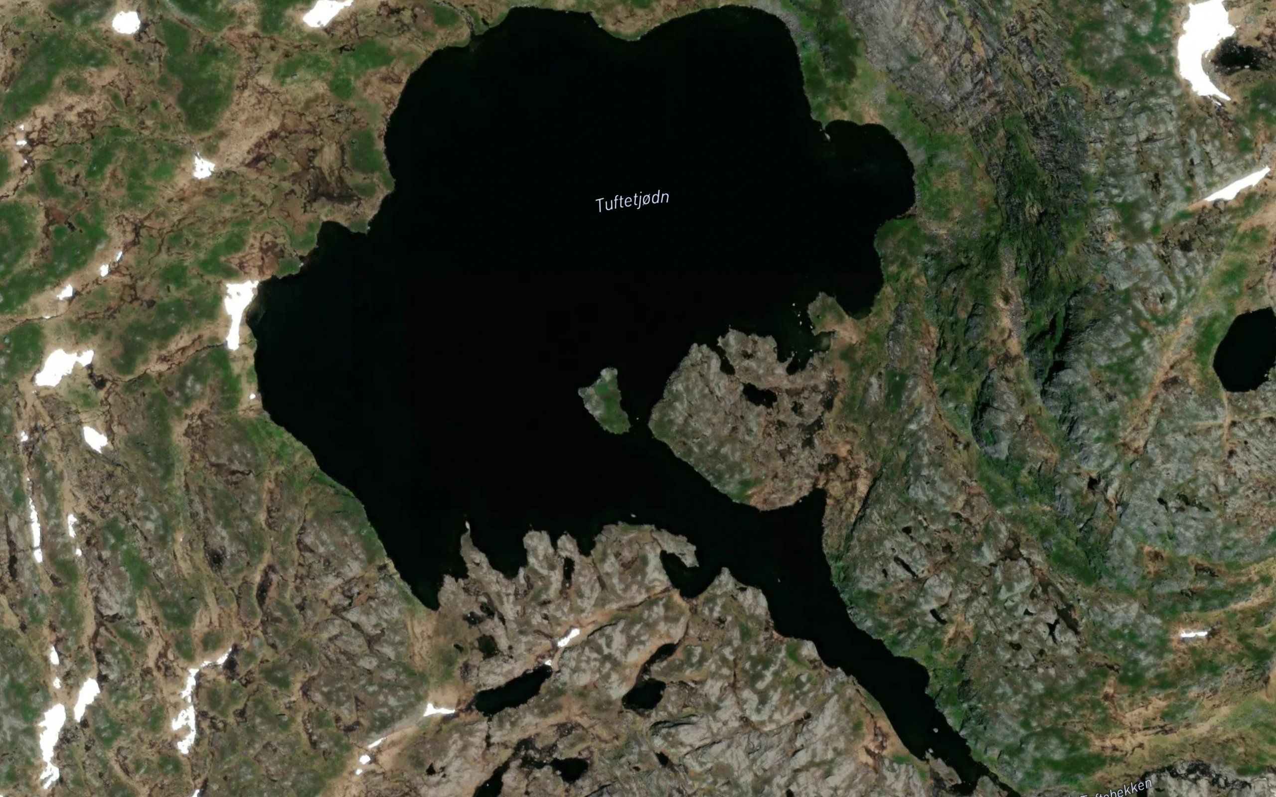 Tuftetjorn