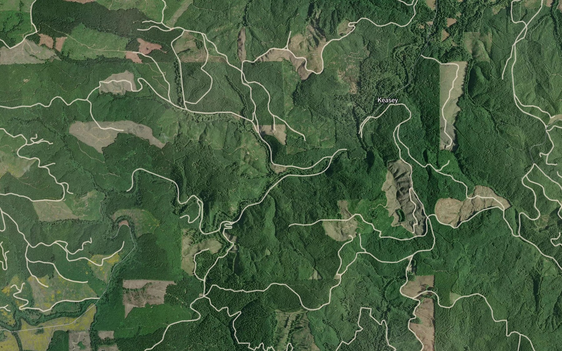 Satellite map of the Ginger Creek