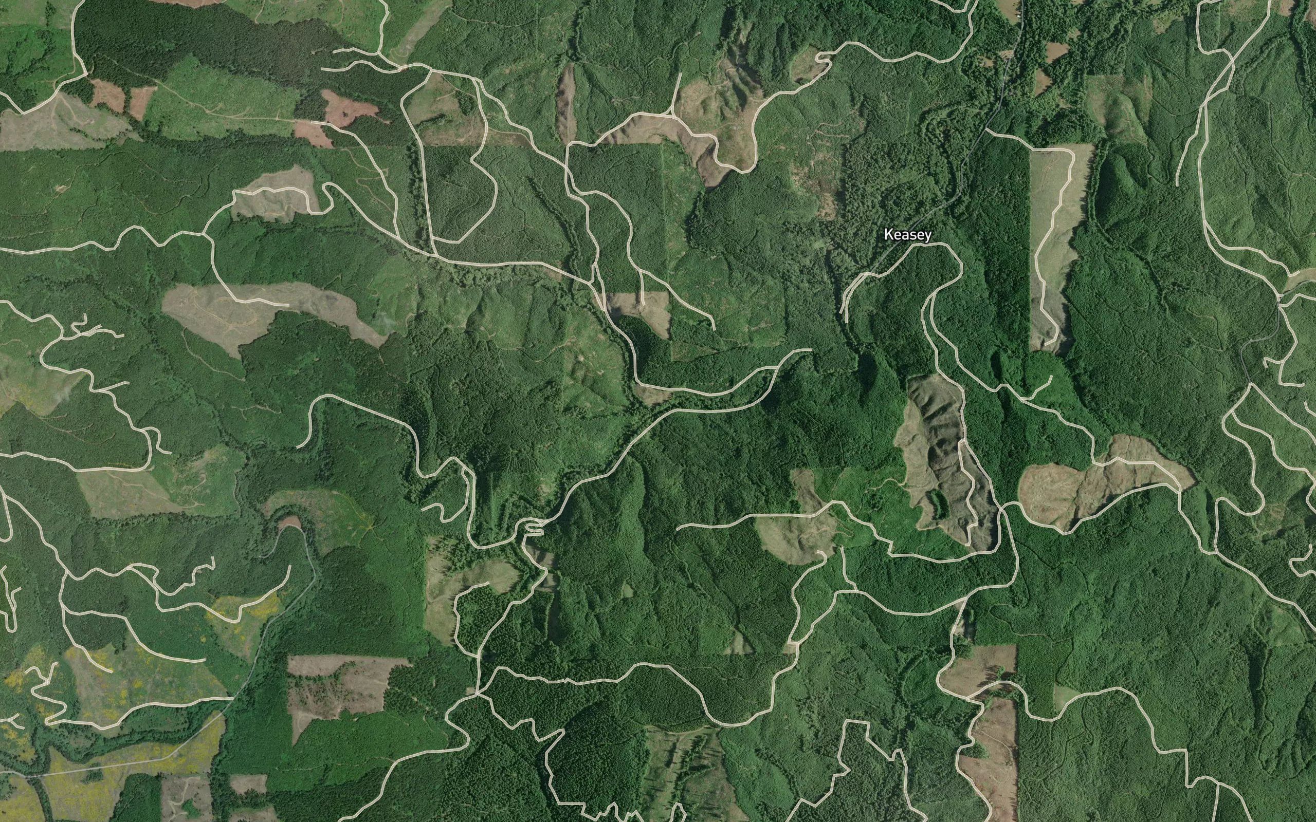 Ginger Creek