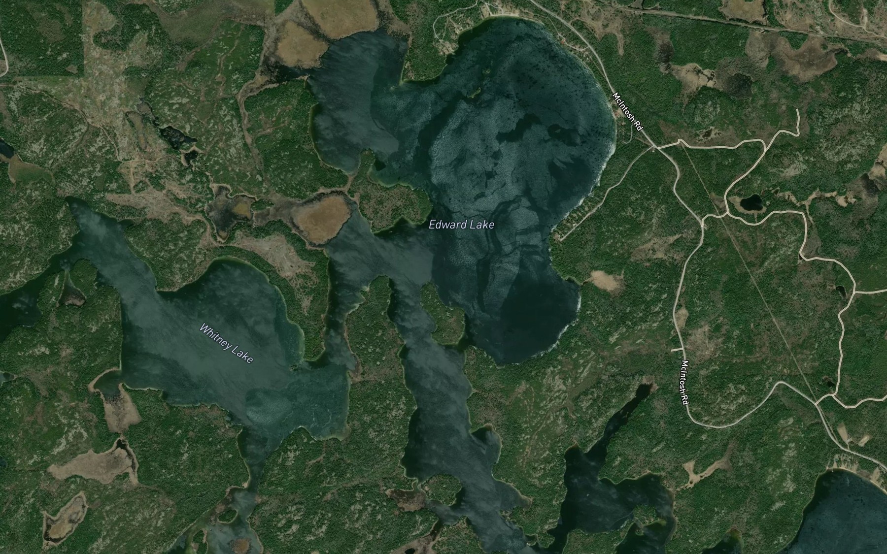 Satellite map of the Edward Lake