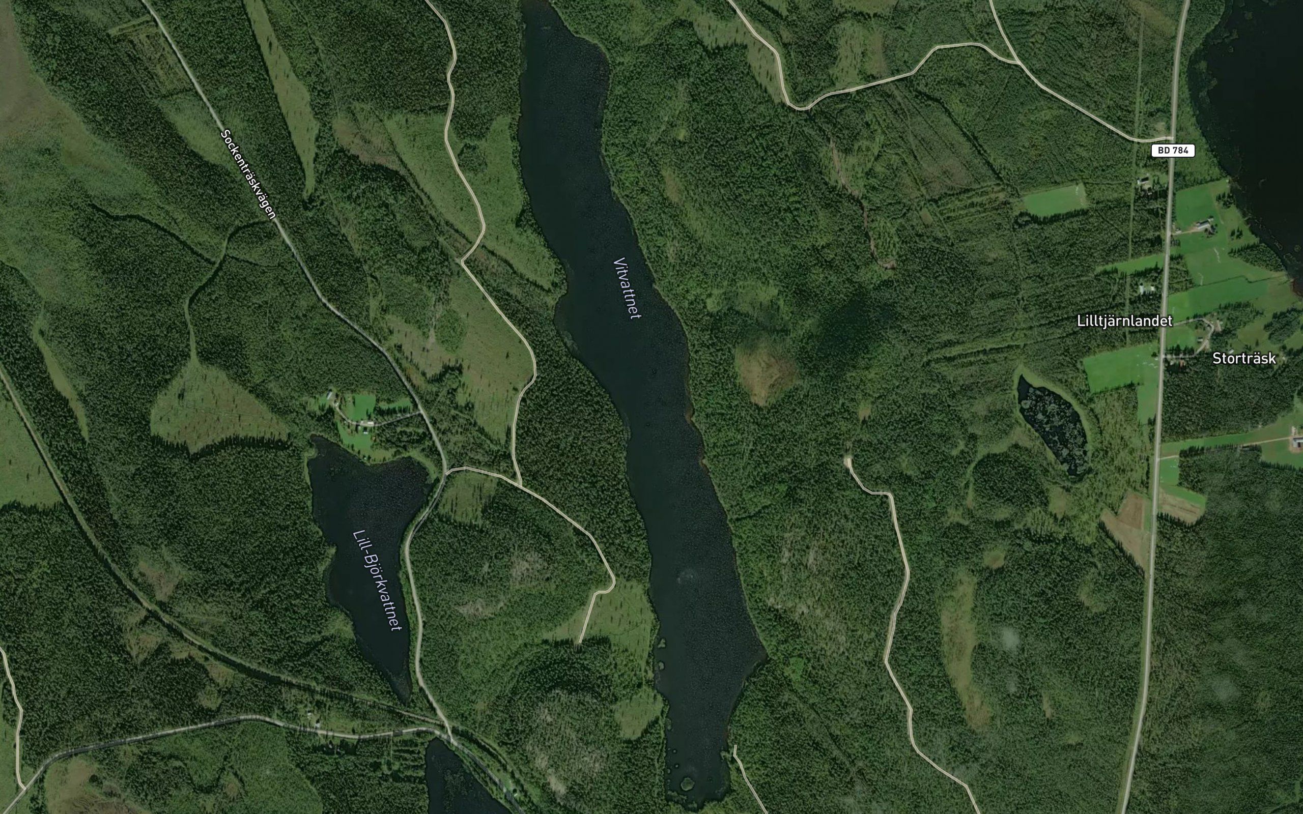 Vitvattnet