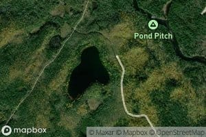 Pond Pitch