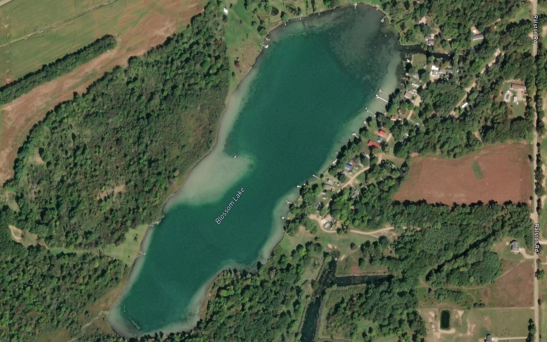Satellite map of the Blossom Lake
