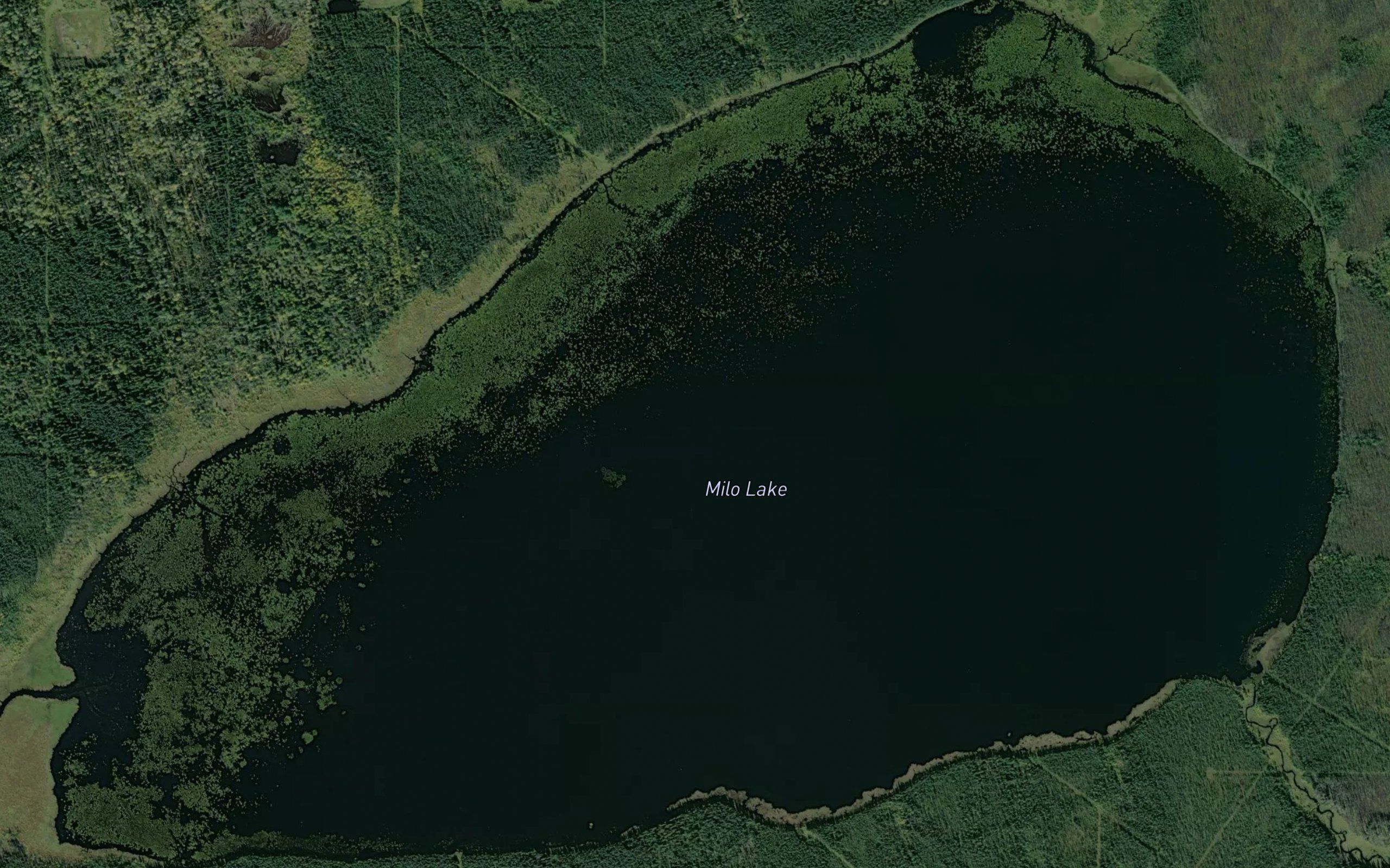 Milo Lake