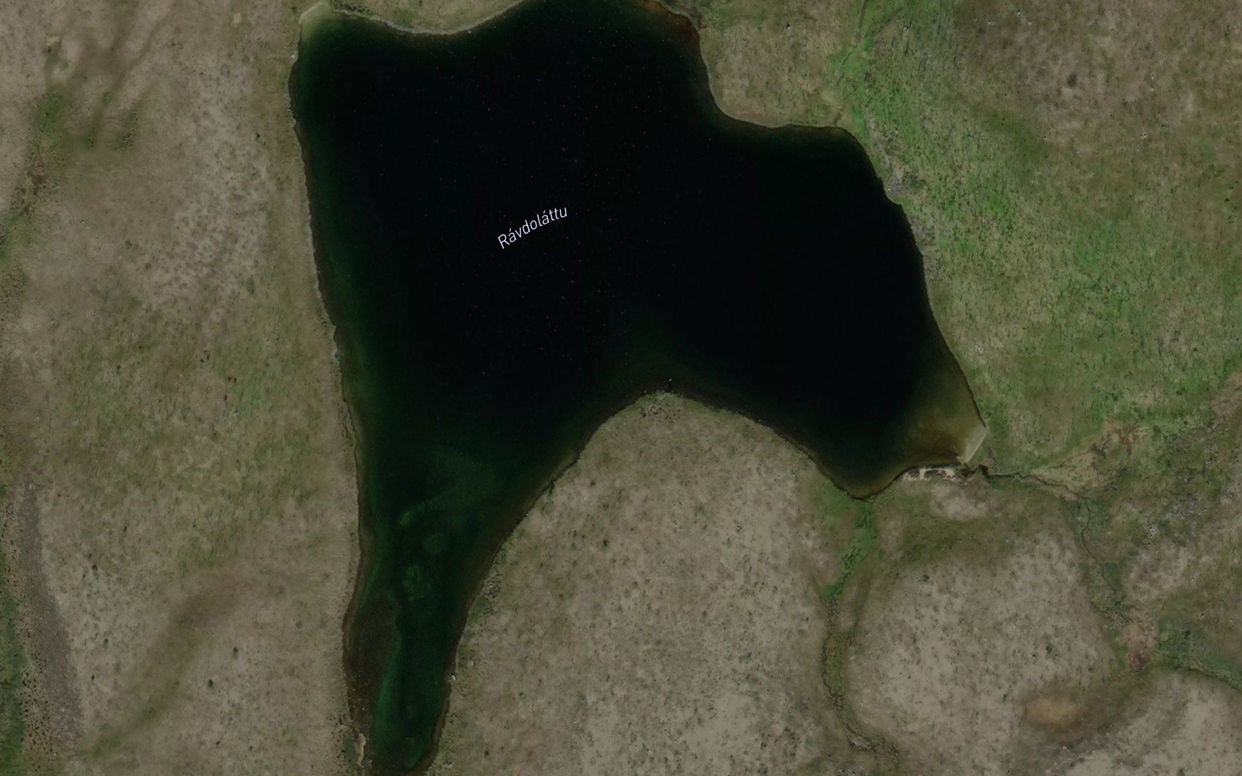 Ravdolattu