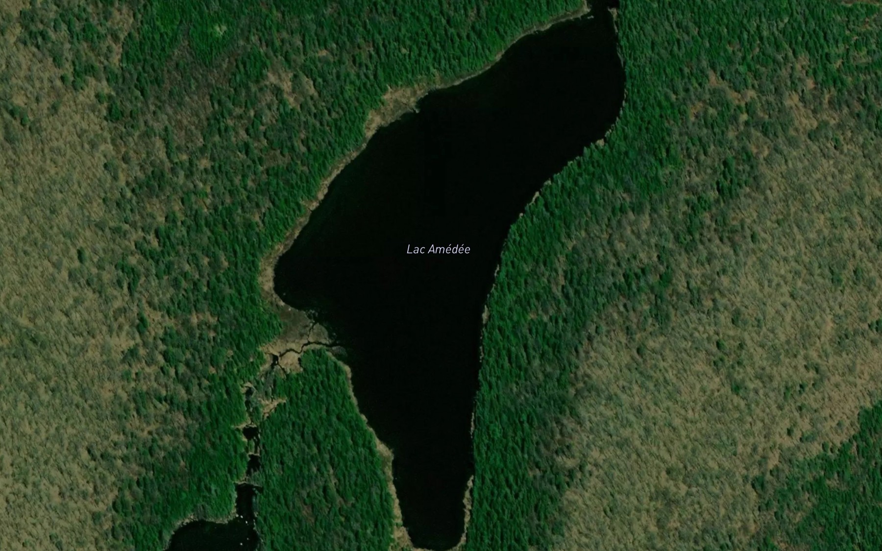 Satellite map of the Lac Amedee