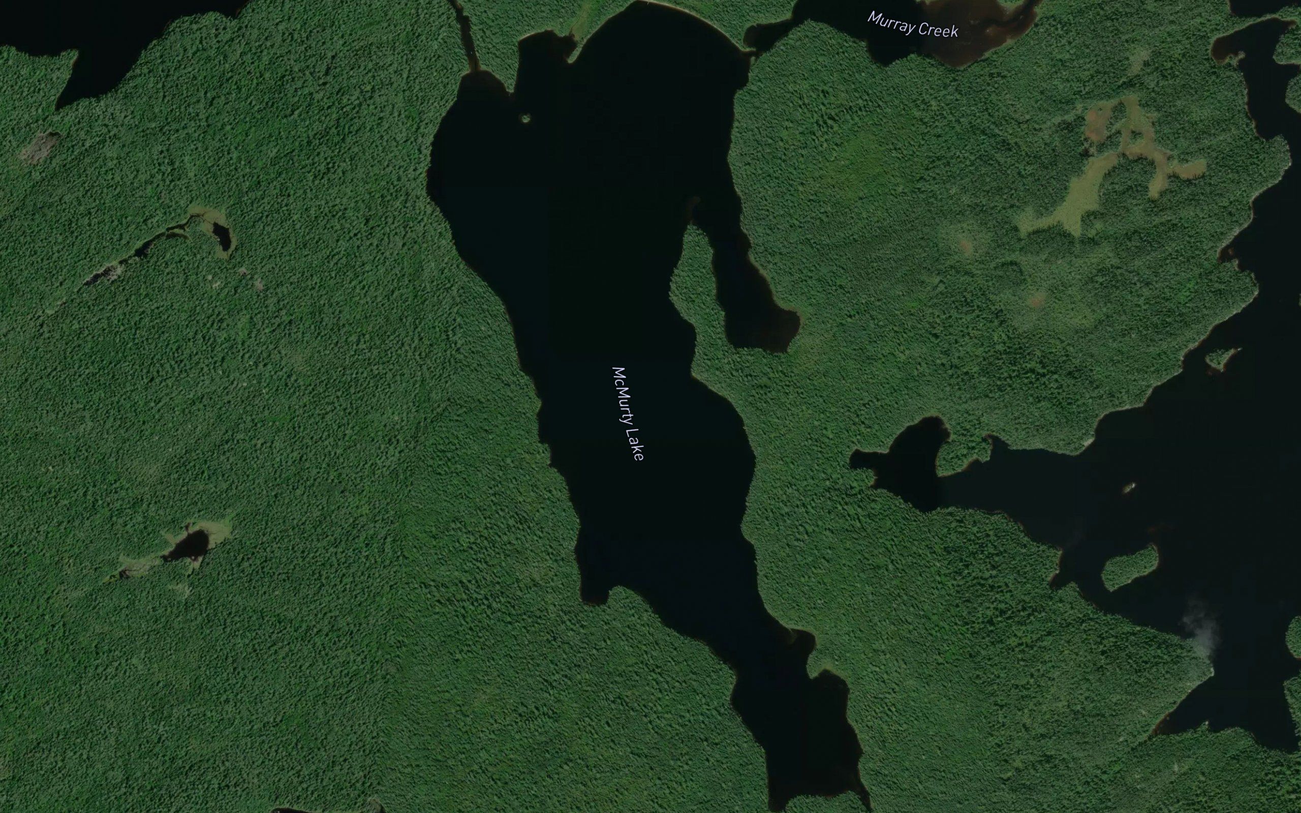 McMurty Lake