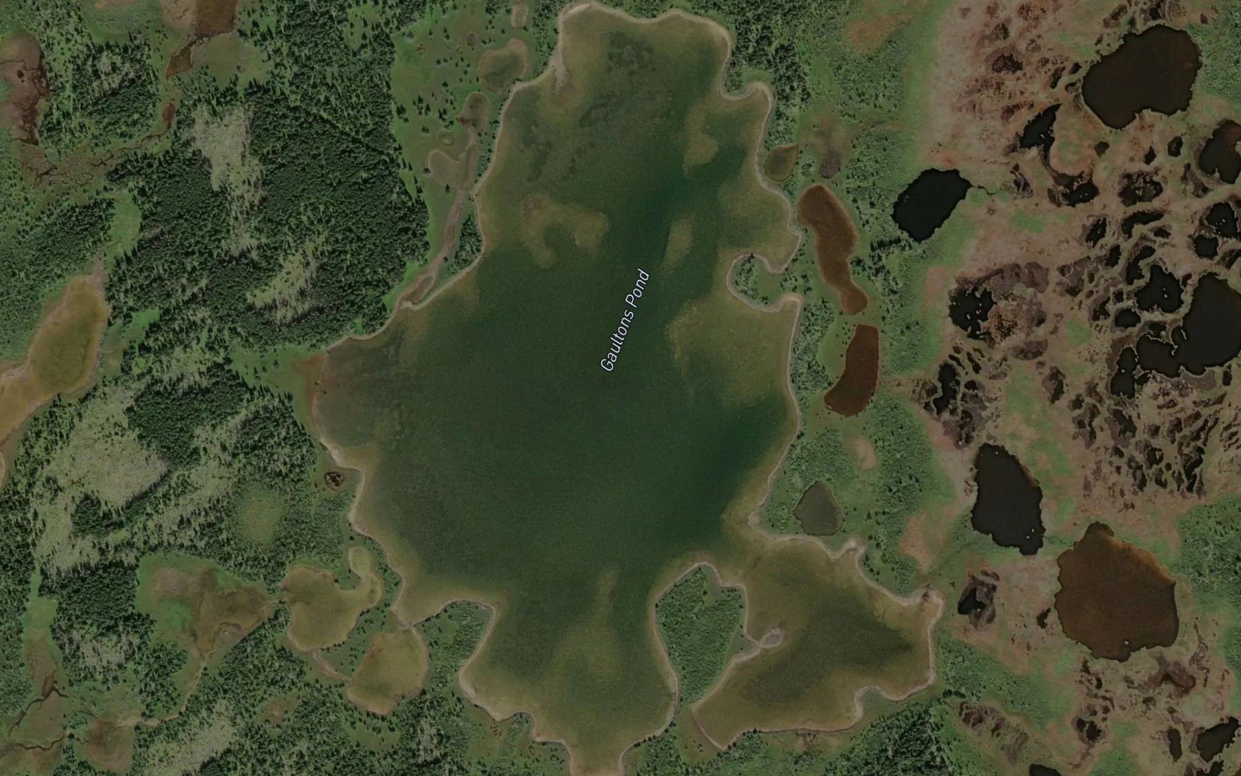 Satellite map of the Gaultons Pond
