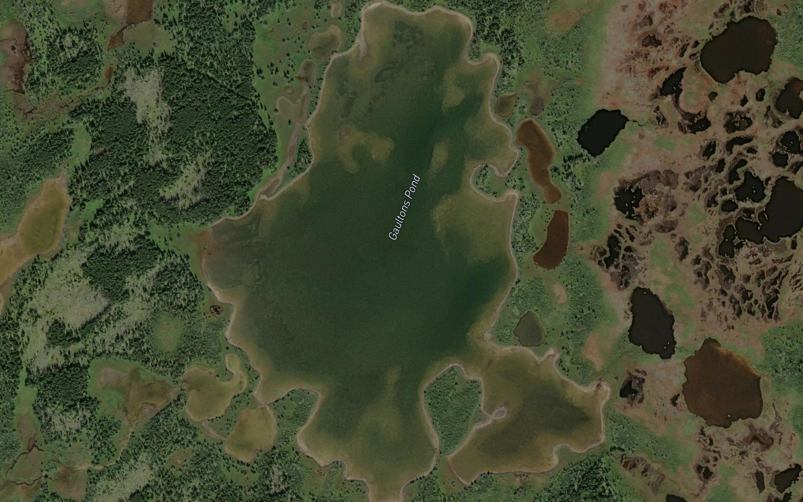 Gaultons Pond