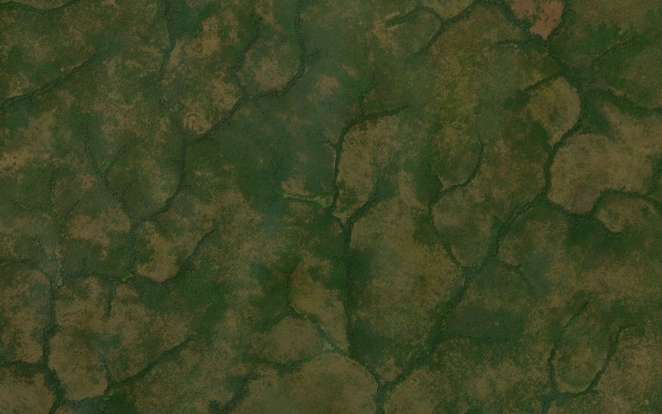 Igigalawa